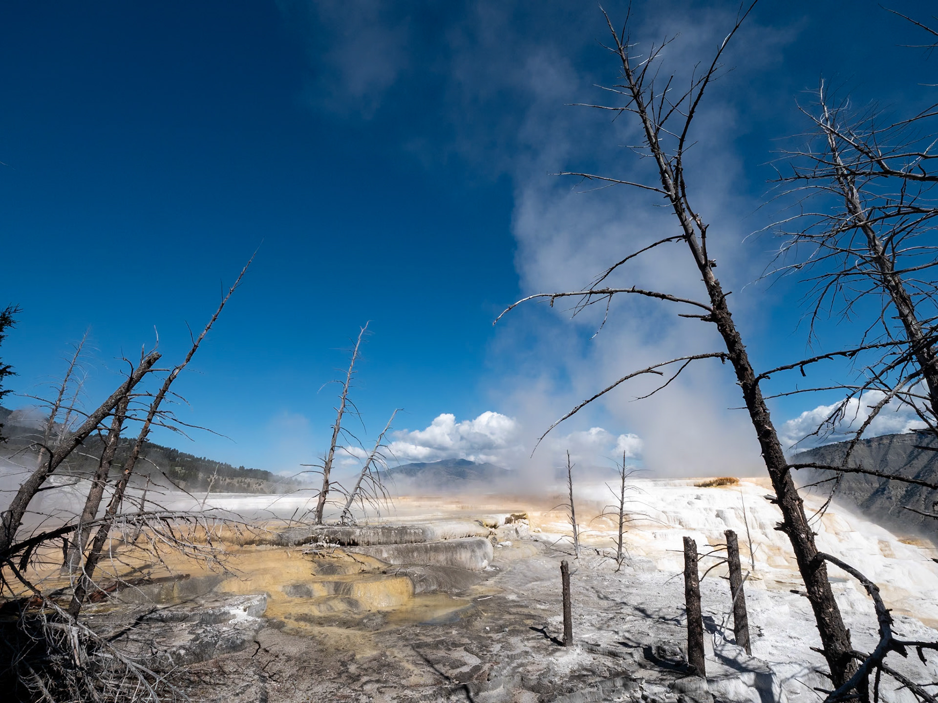 P1124557 Yellowstone National Park
