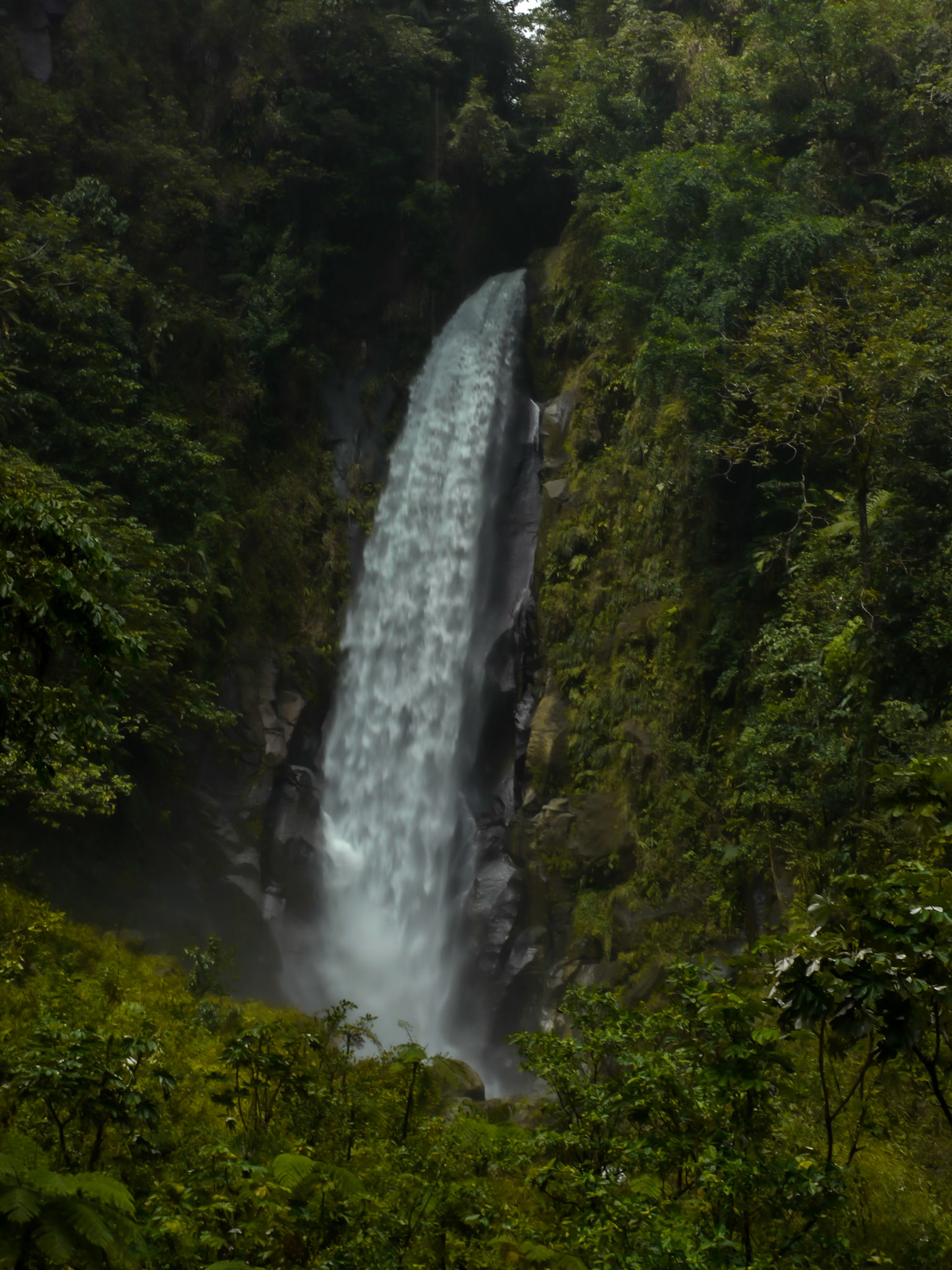 P1040406