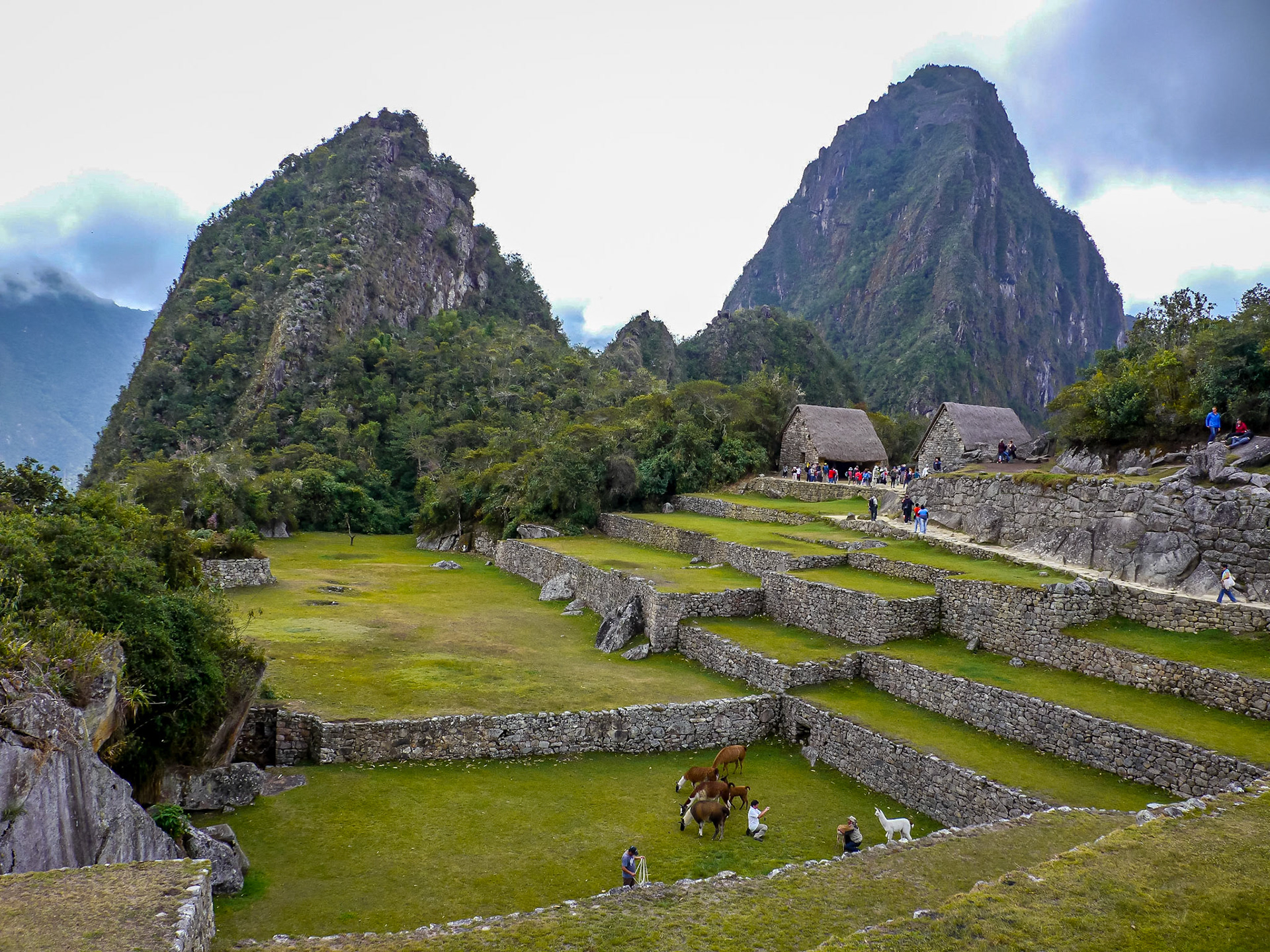 P1090166 Machu Picchu