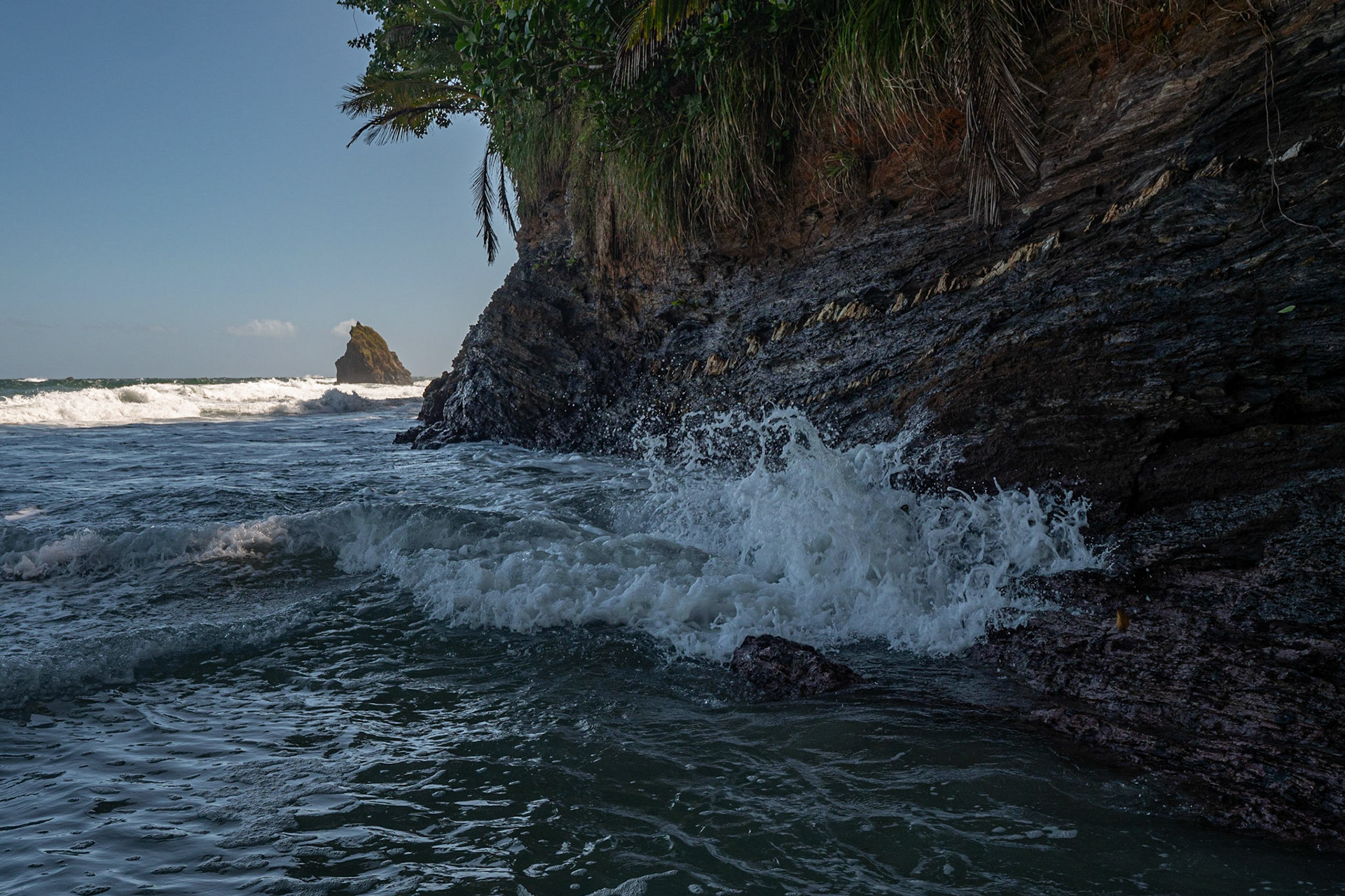 P1069333 Crawling onto the rocks
