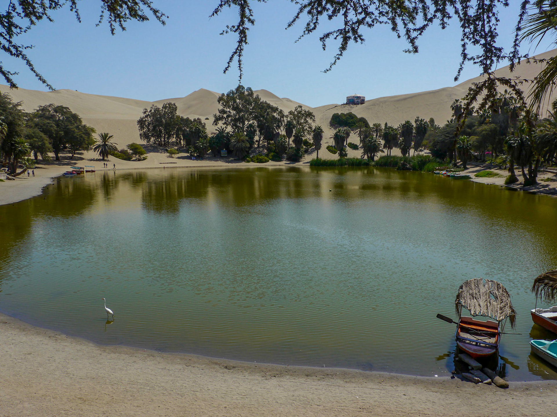 P1090777 Oasis of Huacachina