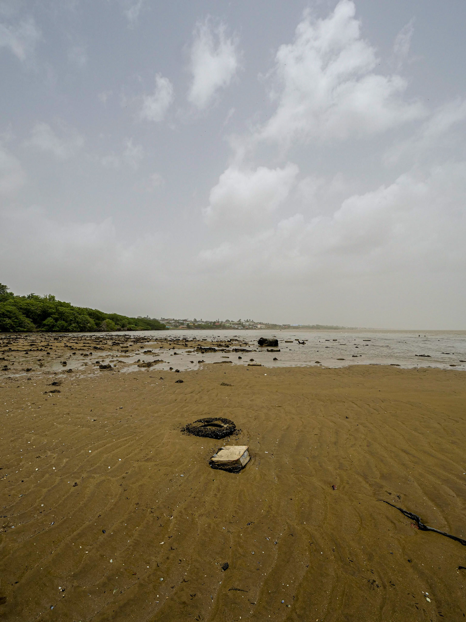 P1039067 Mangrove West Coastline
