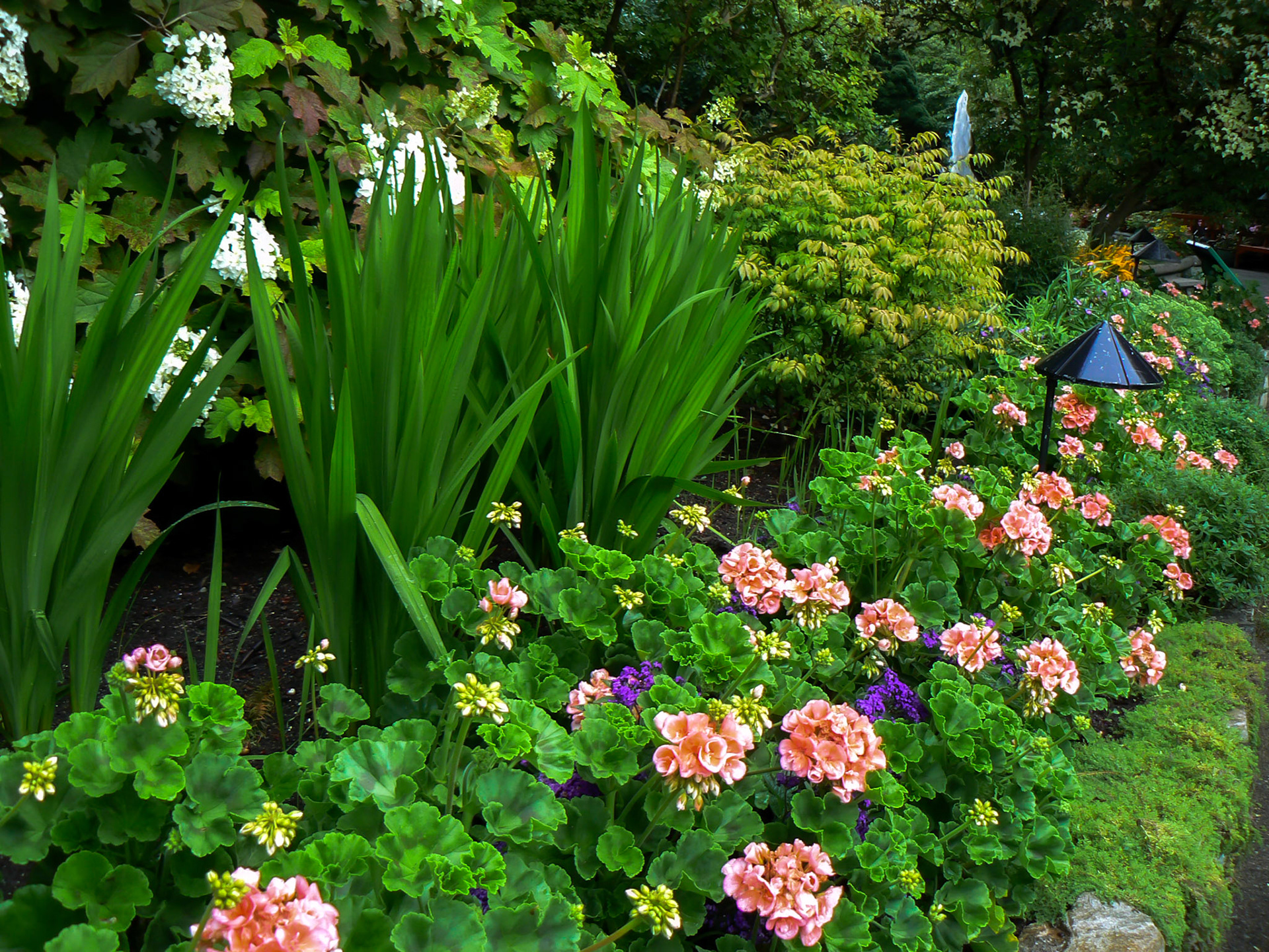P1010722 Victoria Garden