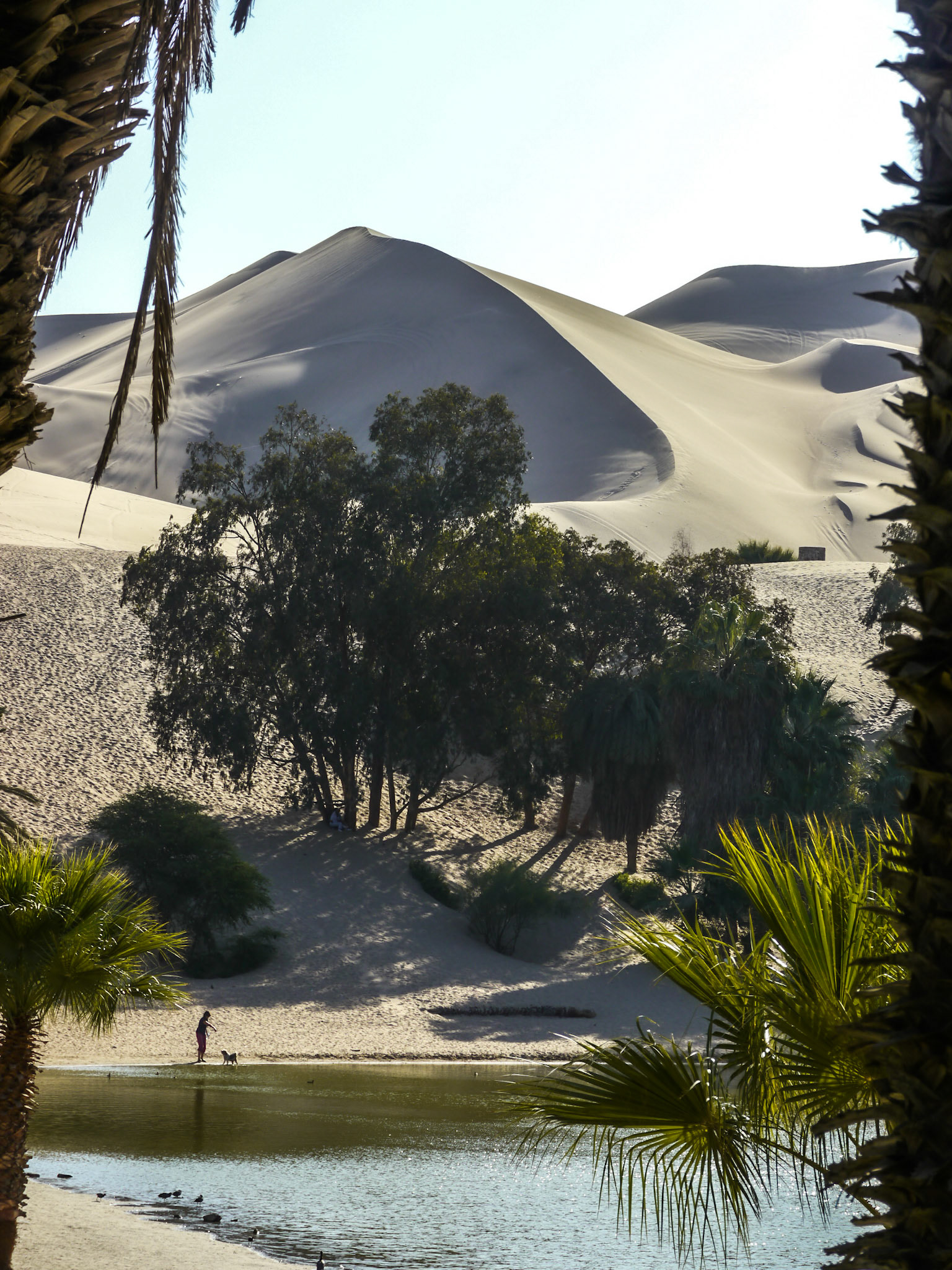 P1090859 Oasis of Huacachina
