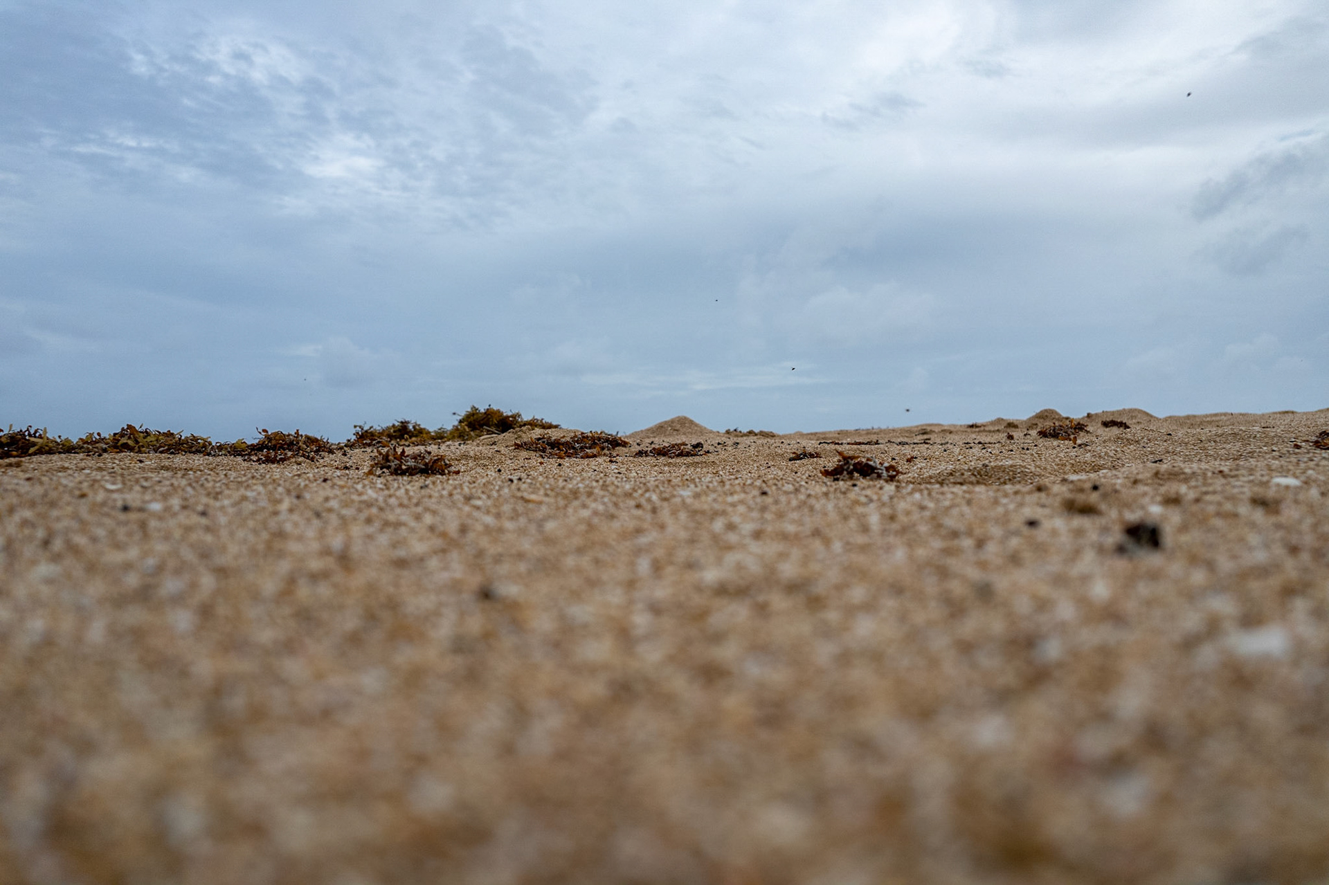 DJI_0534 Sand
