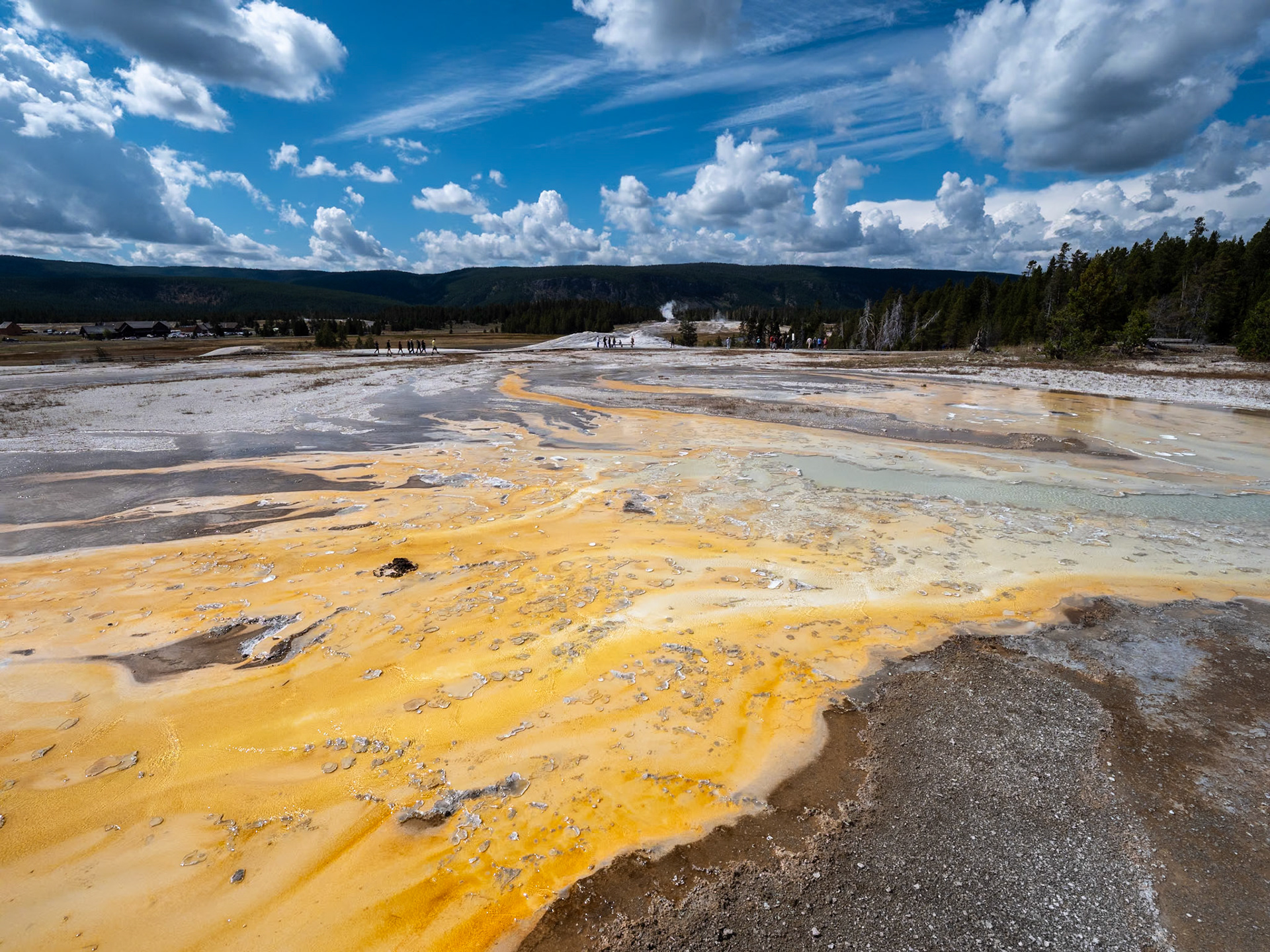 P1124283 Yellowstone National Park