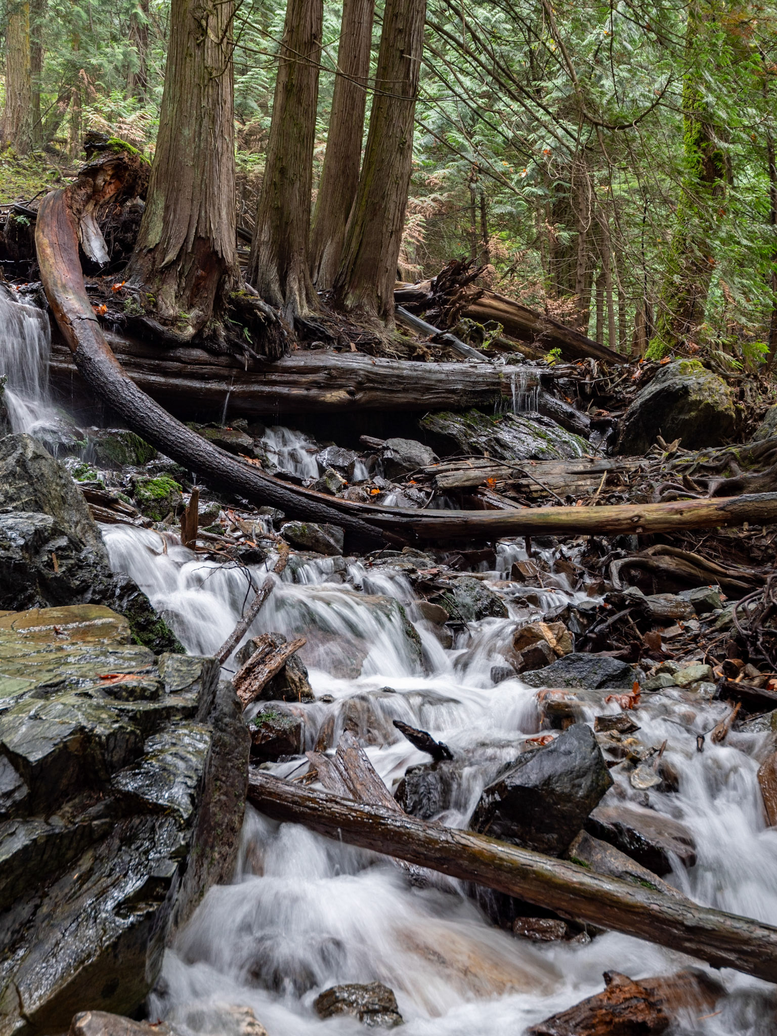 Bridal Falls runoff