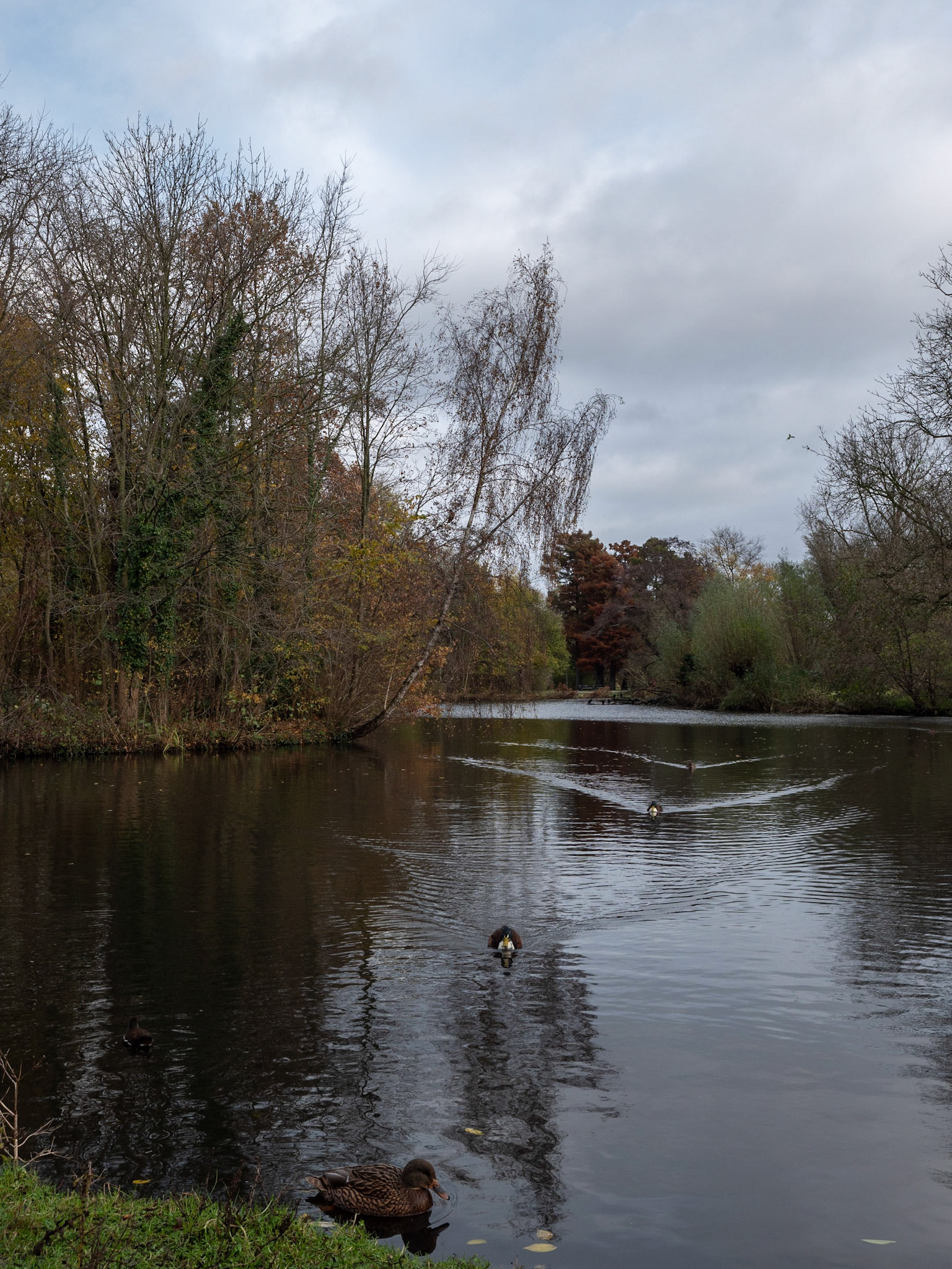 P1068117 Vondelpark
