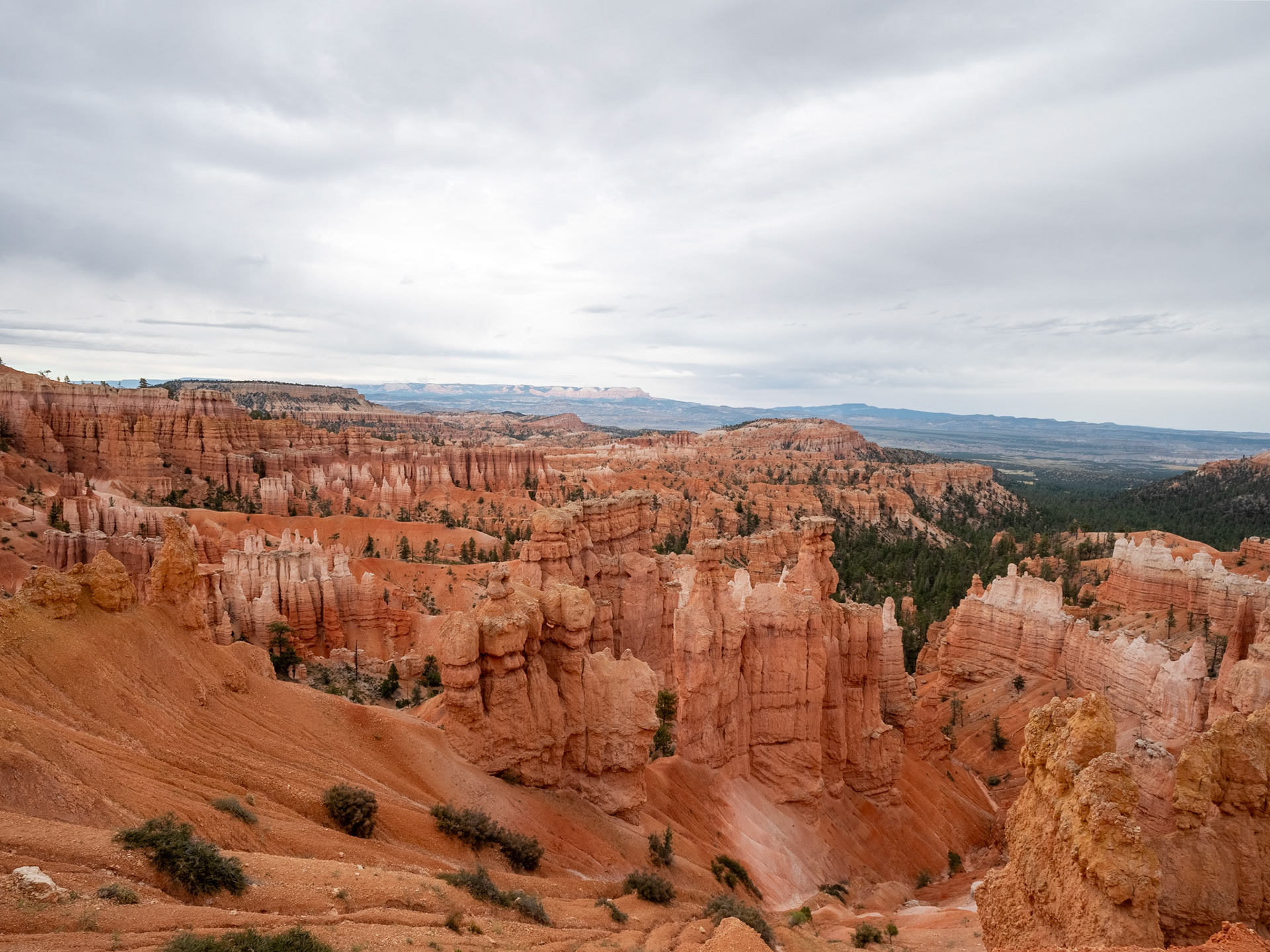 P1123793 Bryce National Park