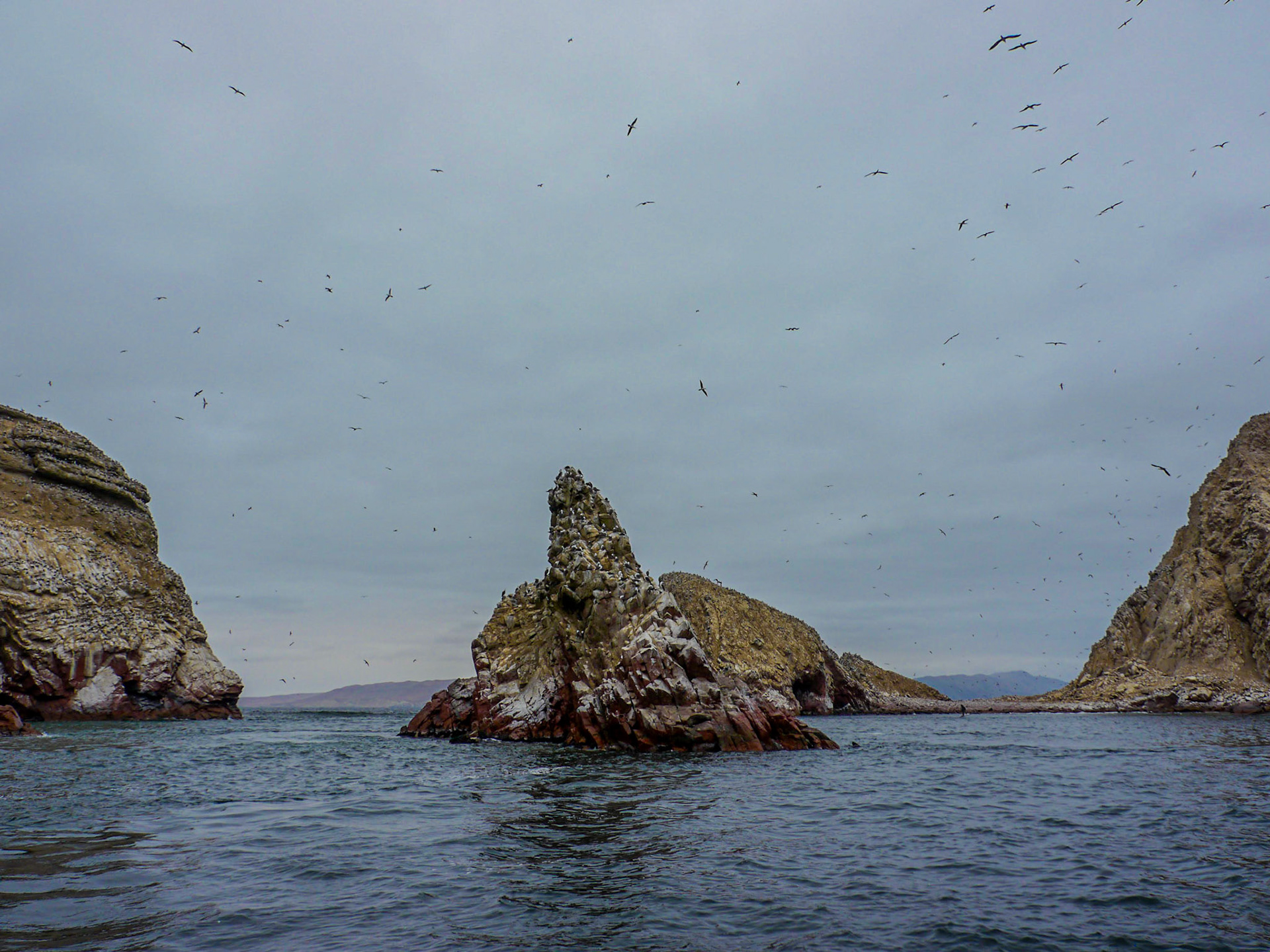 P1090673 Ballestas Islands