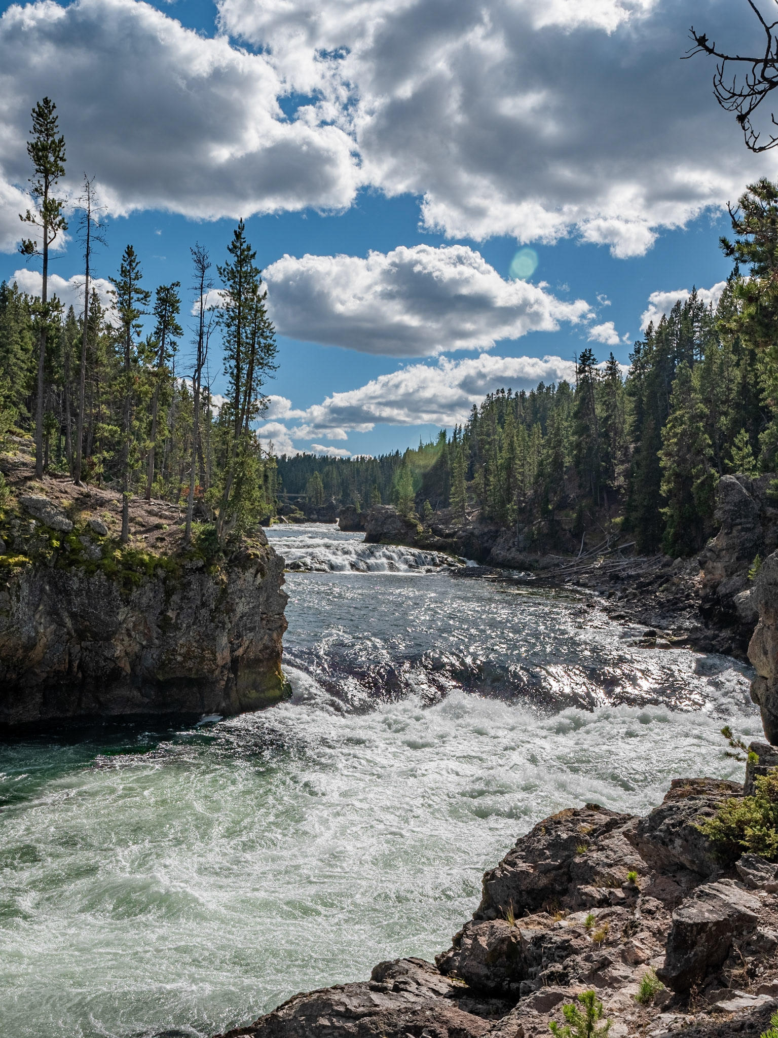 P1134650 Yellowstone National Park