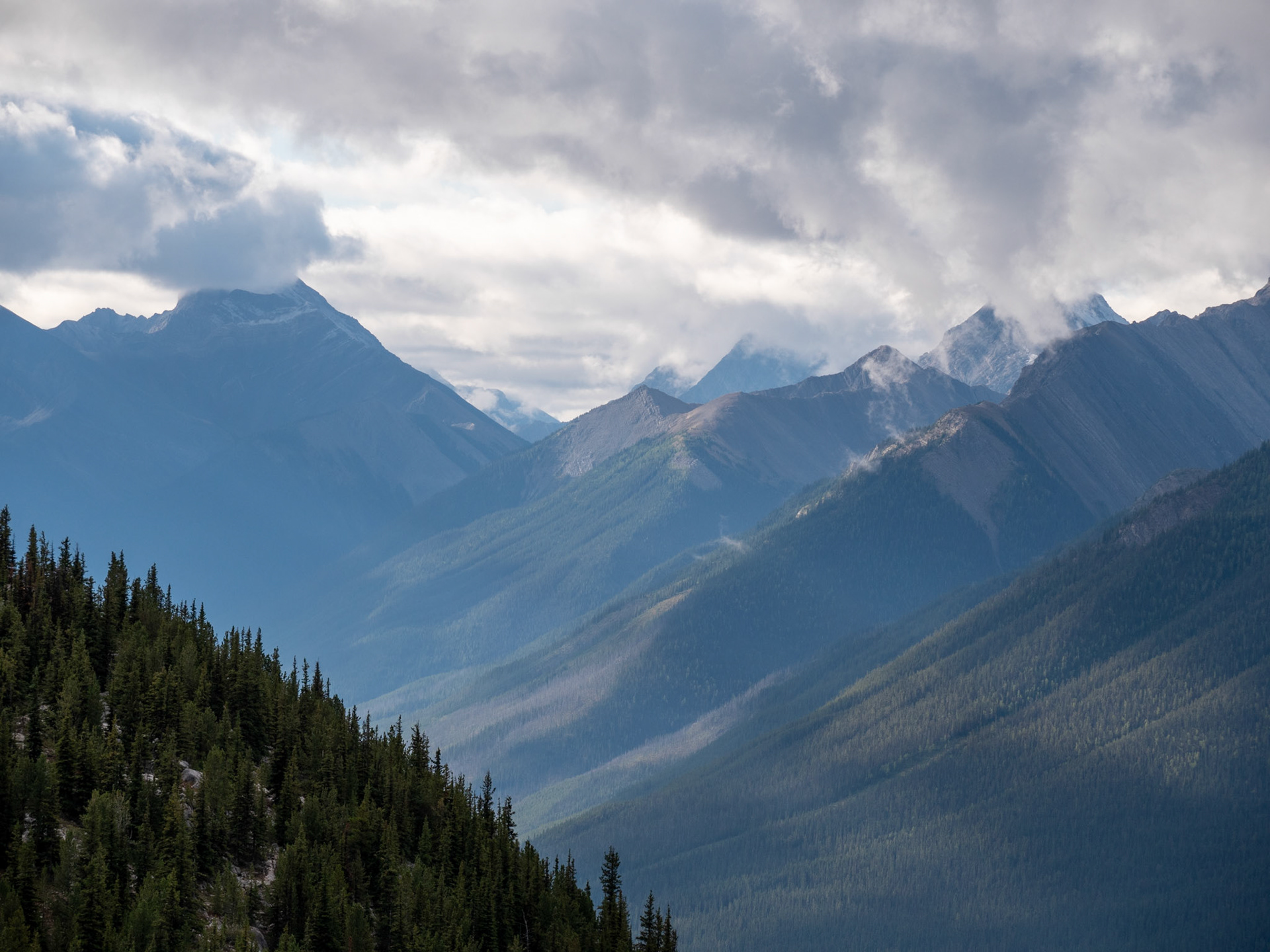 View from Banff Gondola