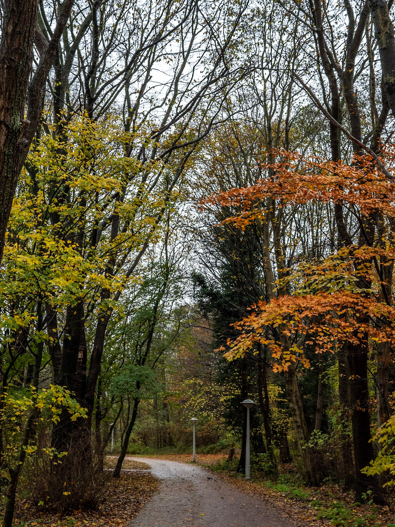 P1068208 Rembrandtpark
