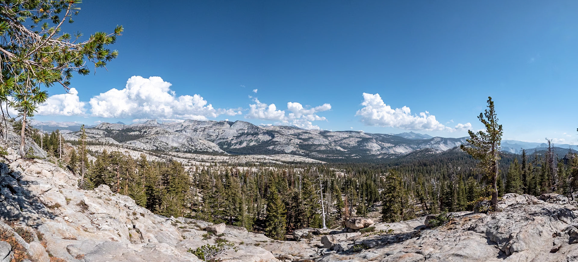 P1135323 Yosemite National Park