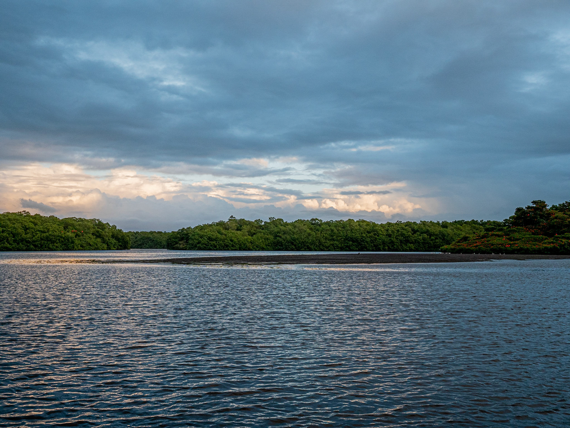P1054834 Caroni Bird Santuary