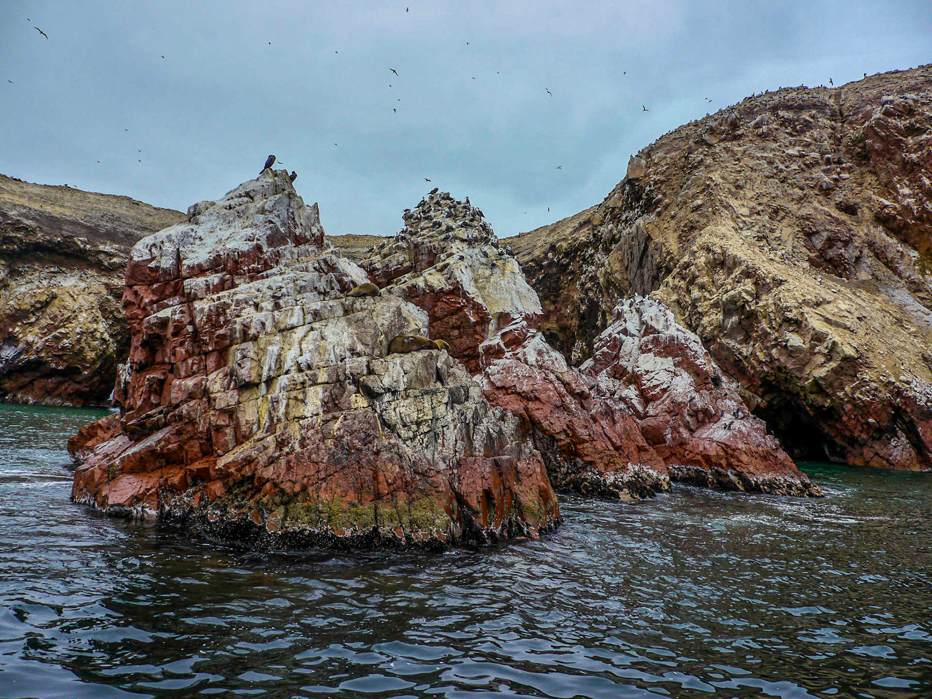 P1090621 Ballestas Islands