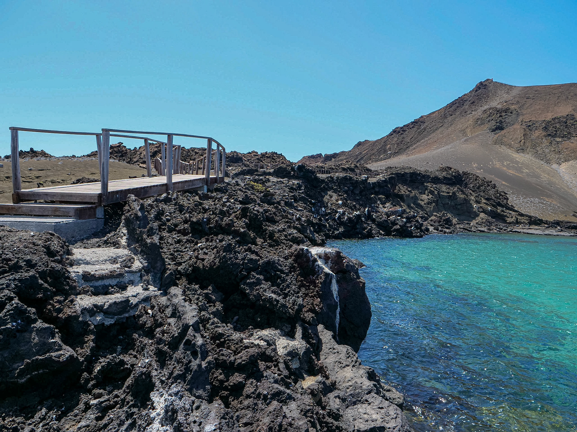 P1001547 Bartolomé Island Galapagos