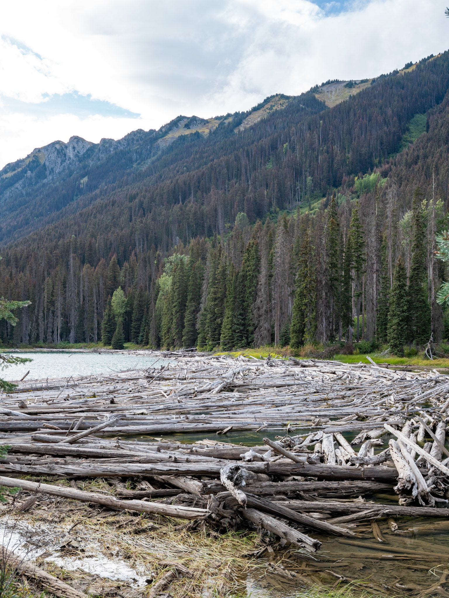 Duffey Lake