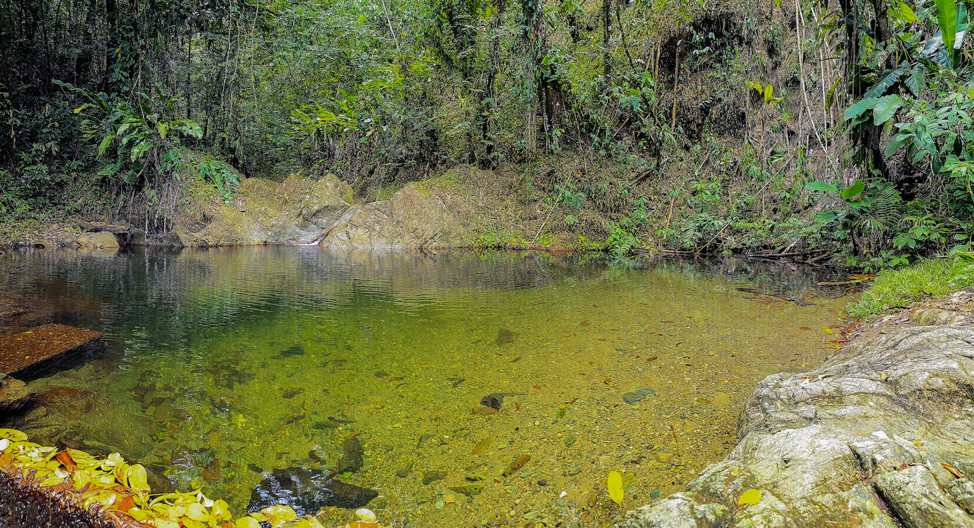 Waterfall close to Parlatuvier Bay