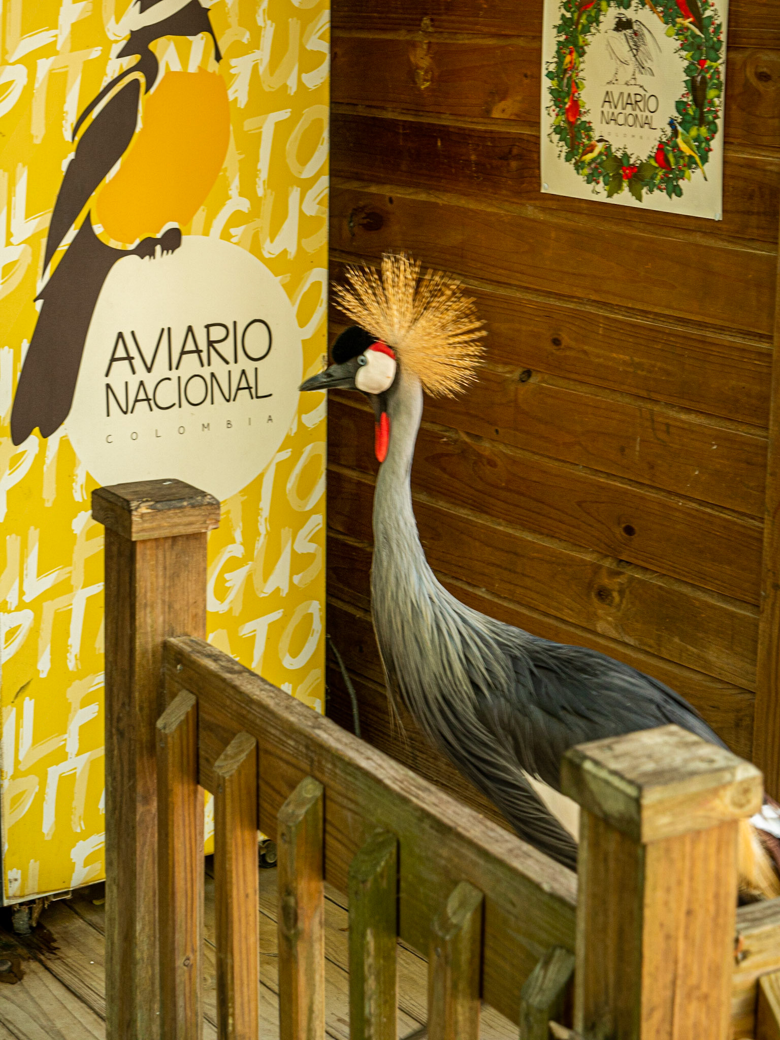 P1026664