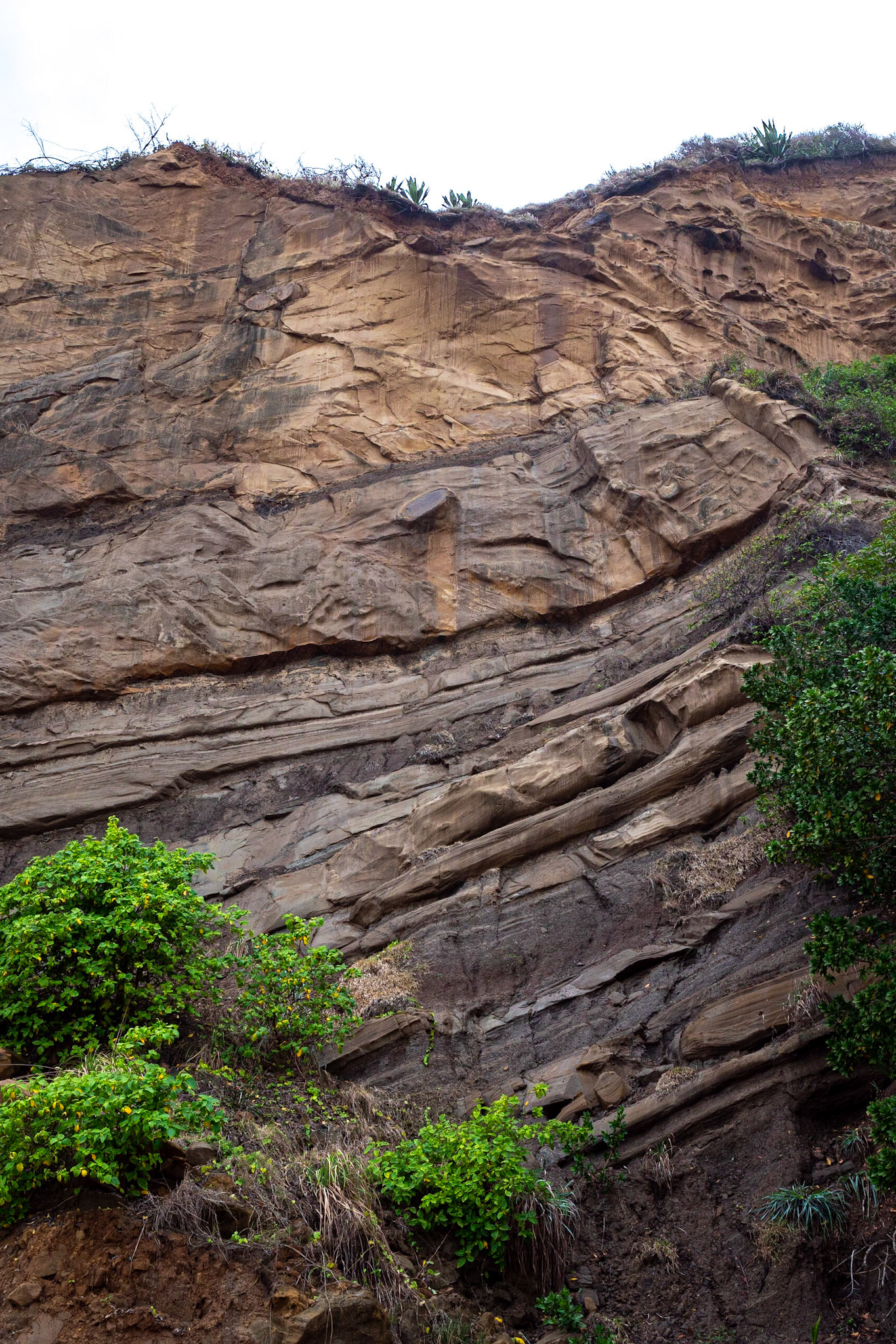 P1069735 Scupltured rock formation
