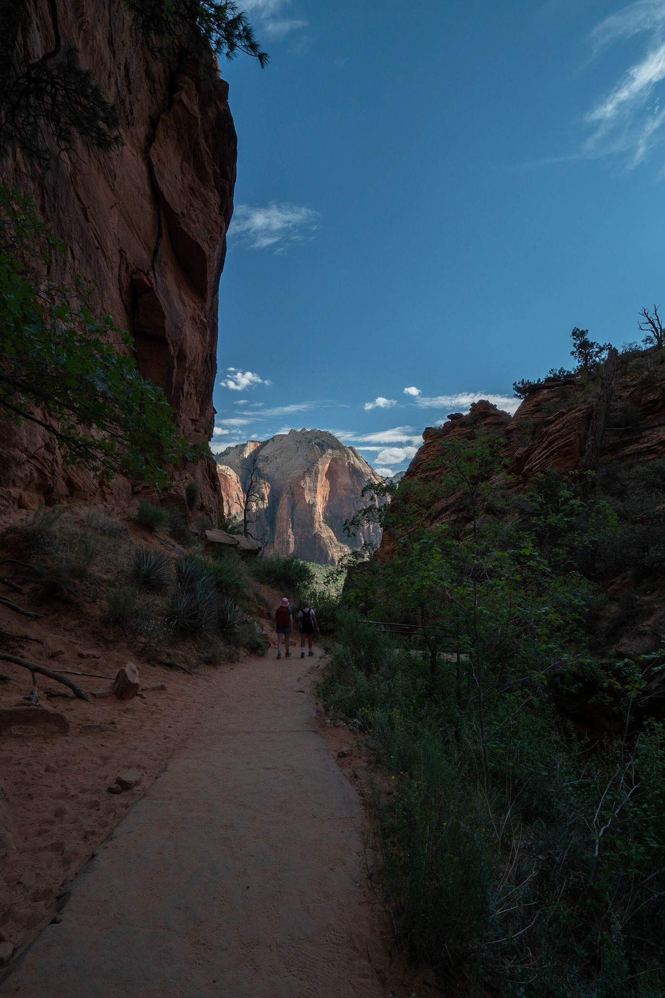 P1072824 Heading back down from Angel's landing trail