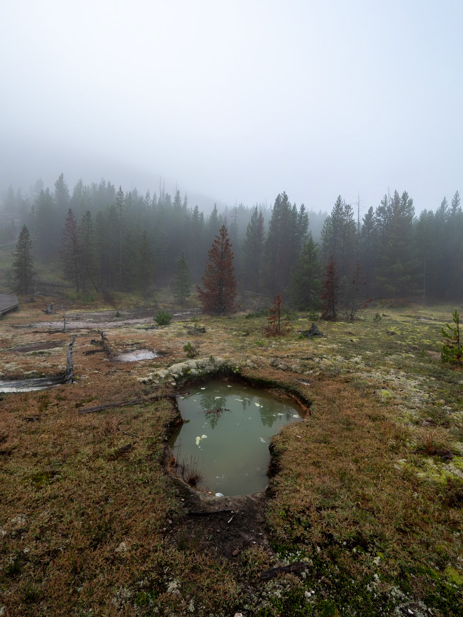 P1124415 Yellowstone National Park