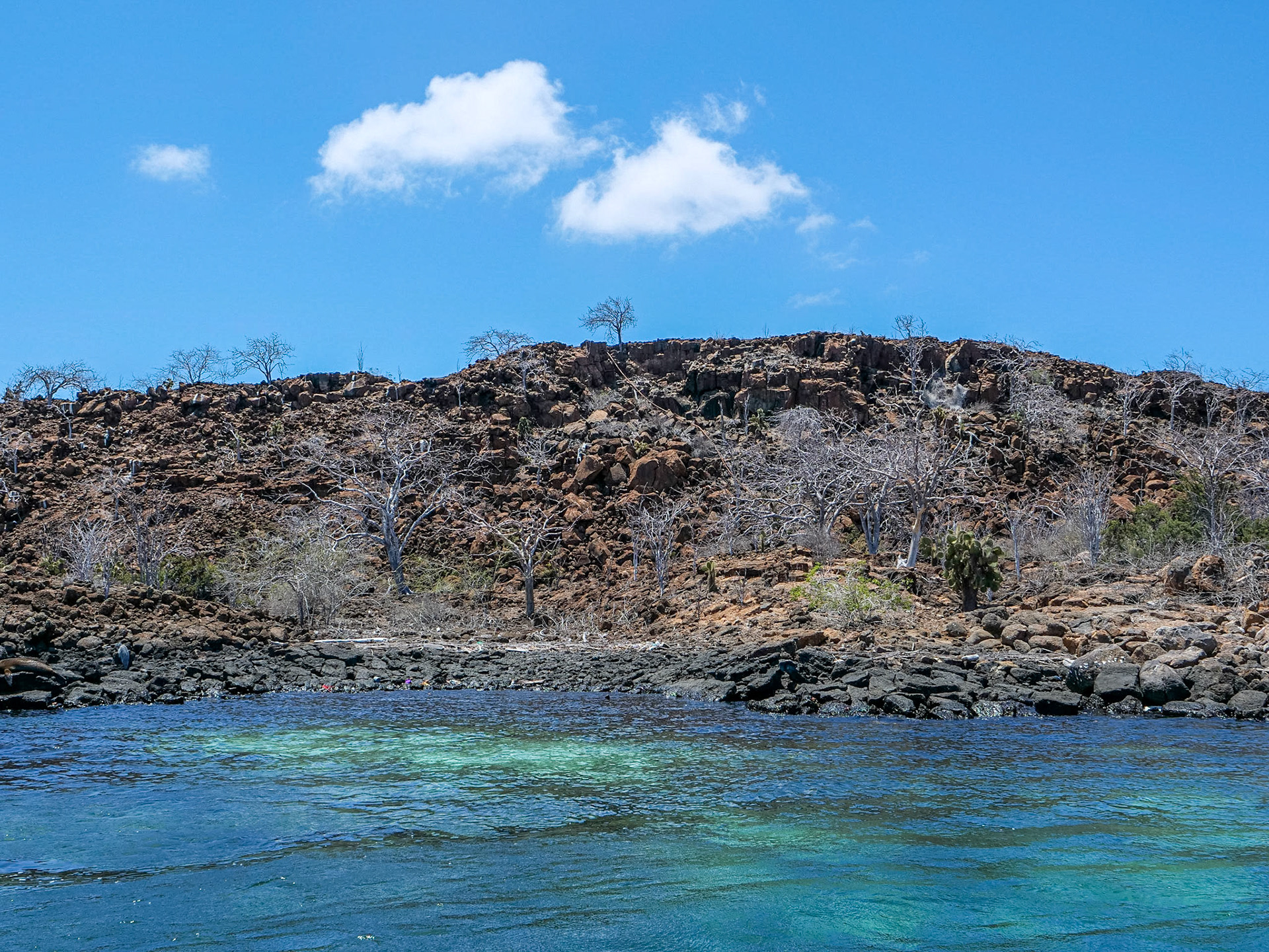 P1001201 Santa Cruz, Galapagos Islands