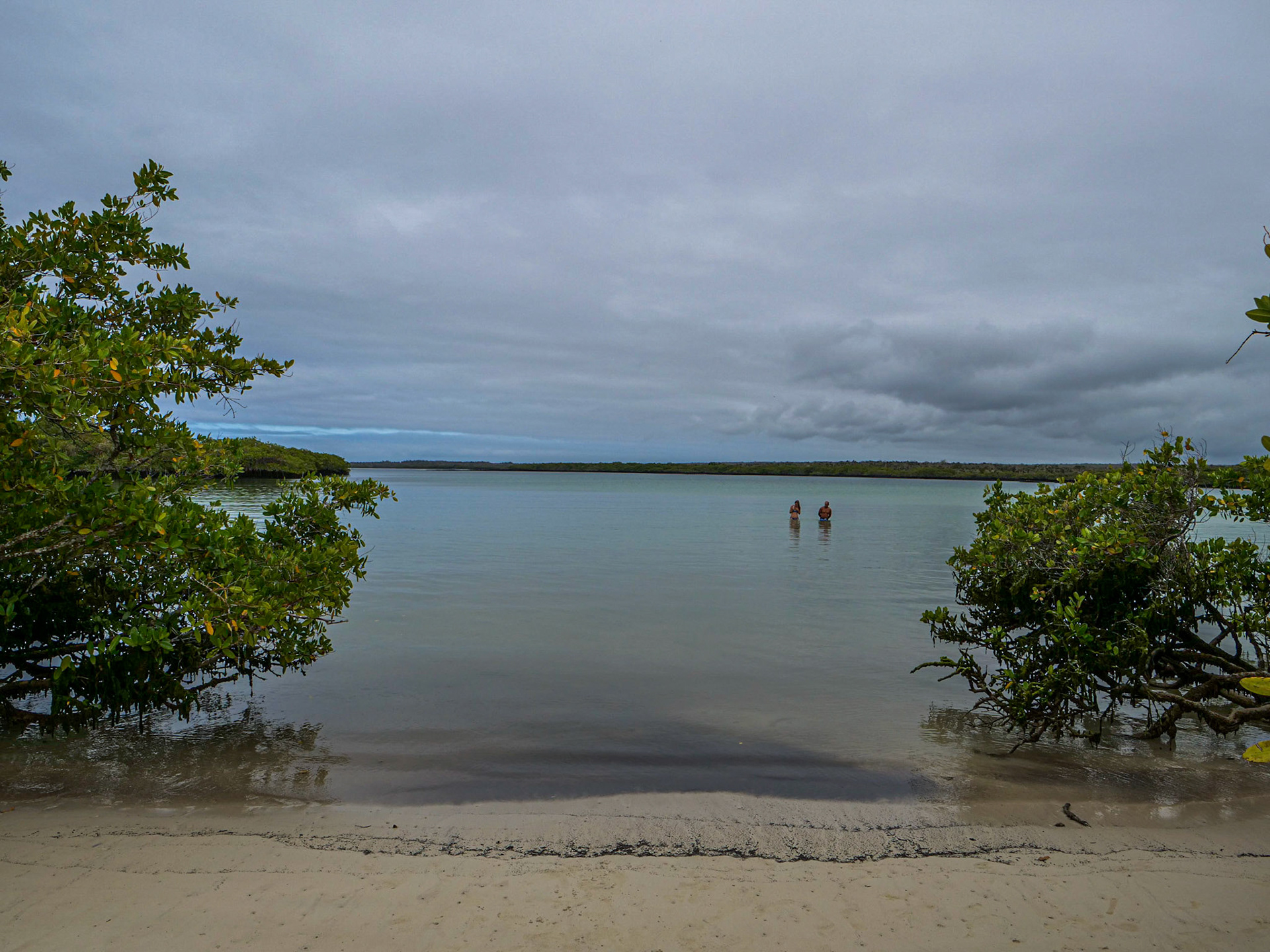 P1011837 Tortuga Bay, Santa Cruz Island Galapagos