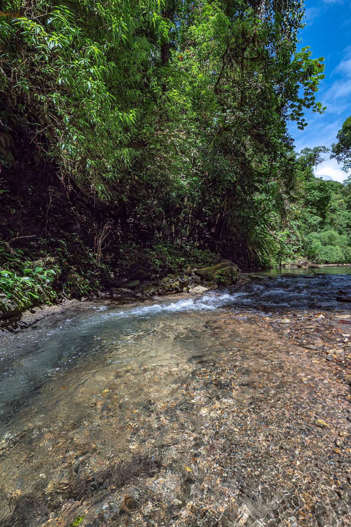 P1070863 Flowing stream