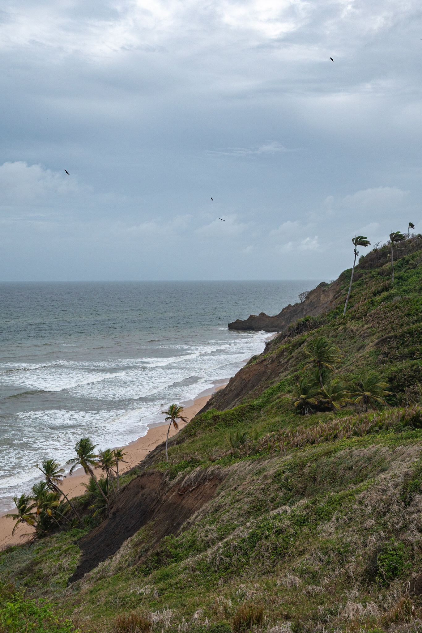 P1069681 Ocean View