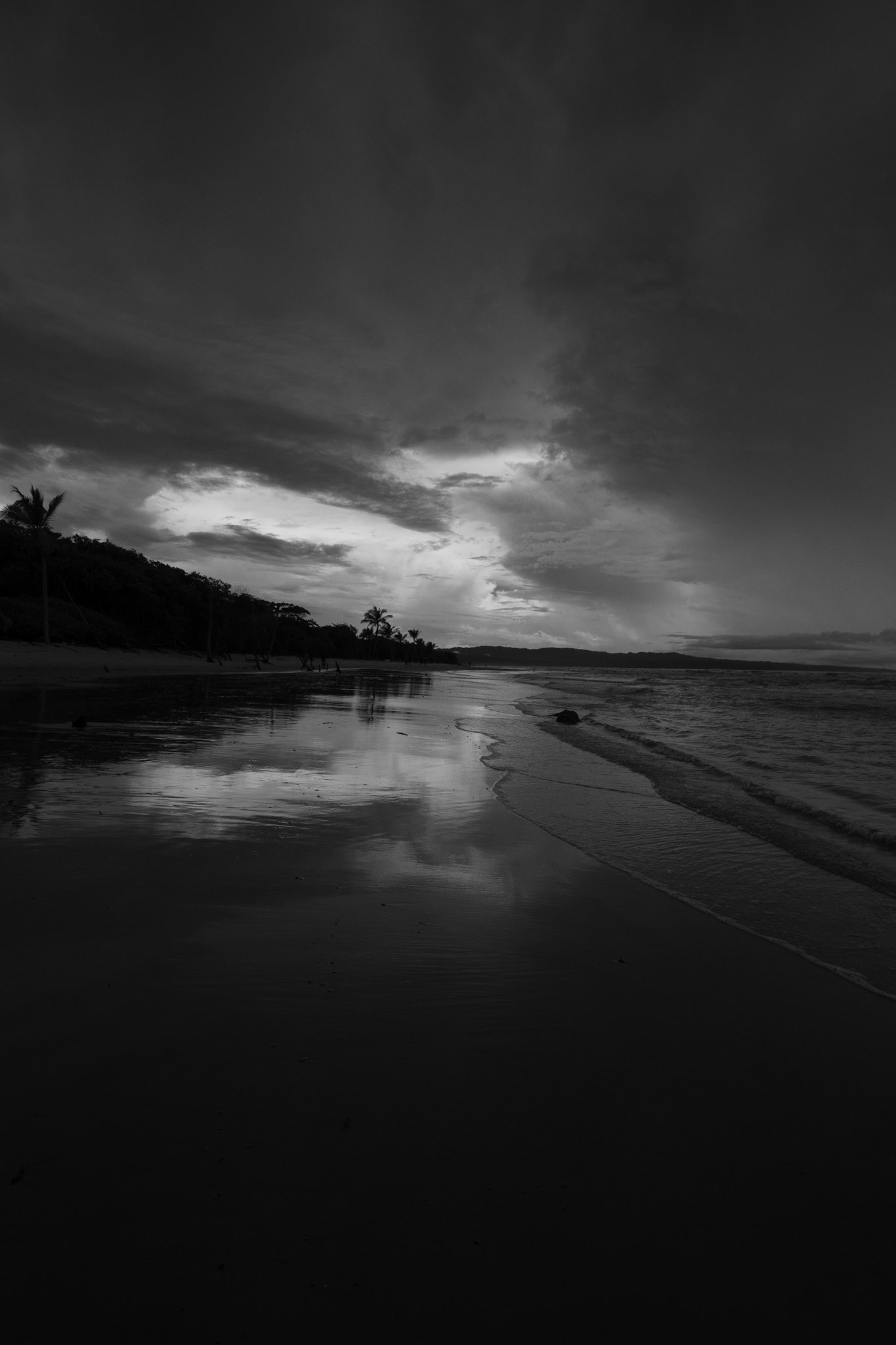 P1072354 Even in black and white