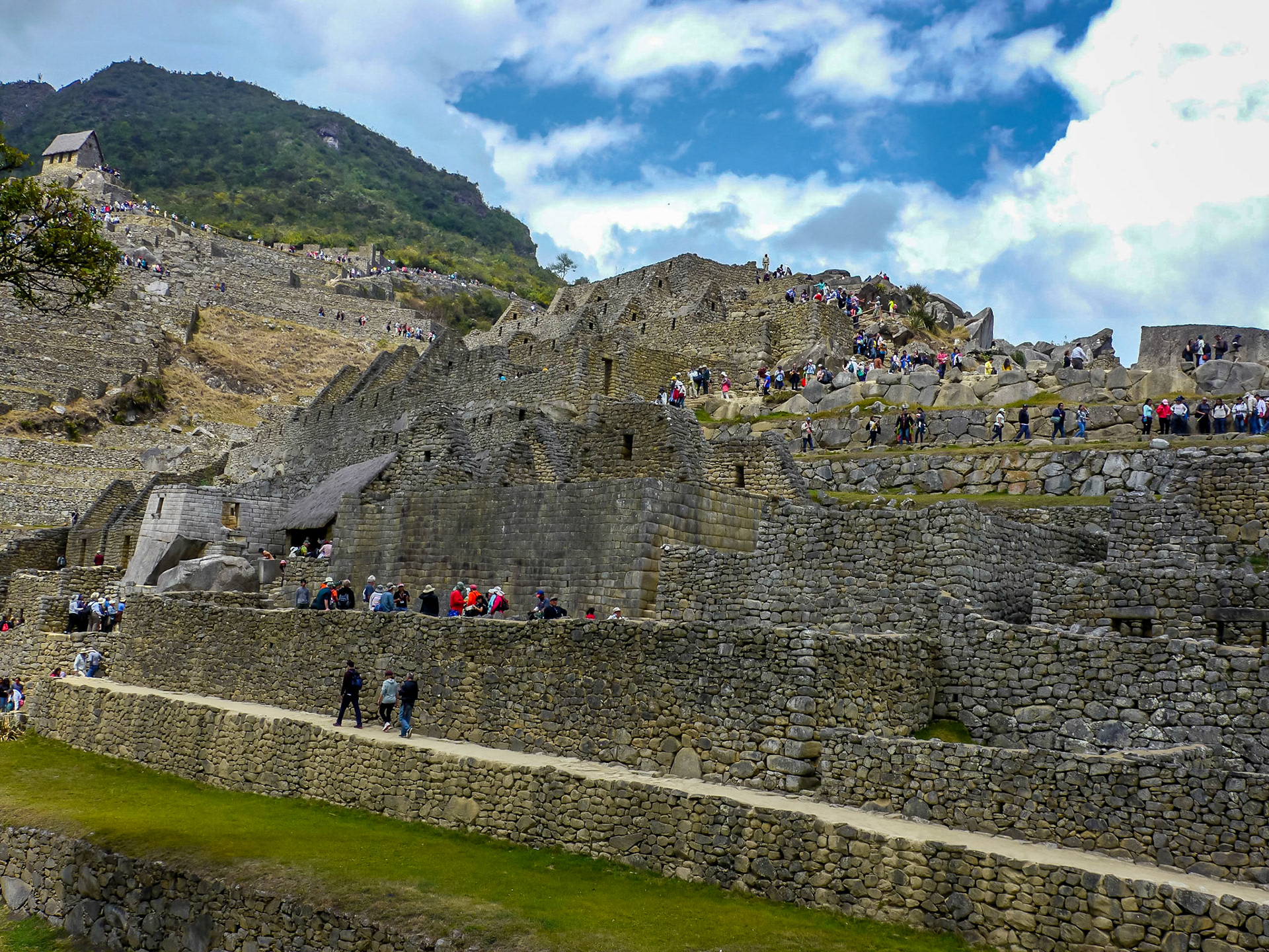 P1090188 Machu Picchu