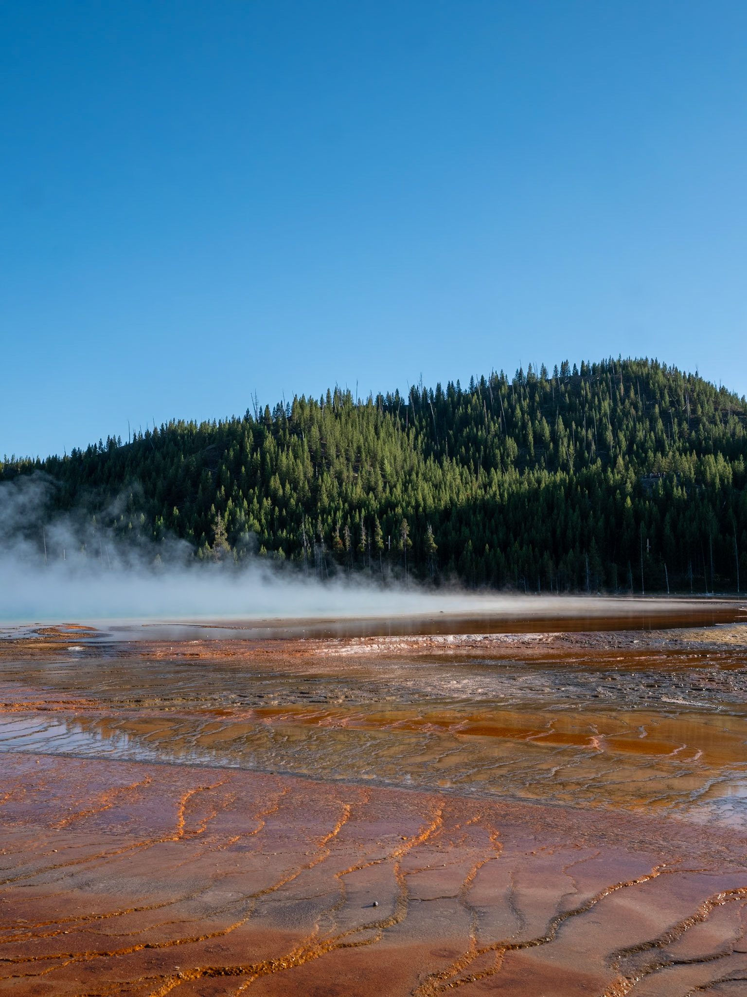 P1134720 Yellowstone National Park