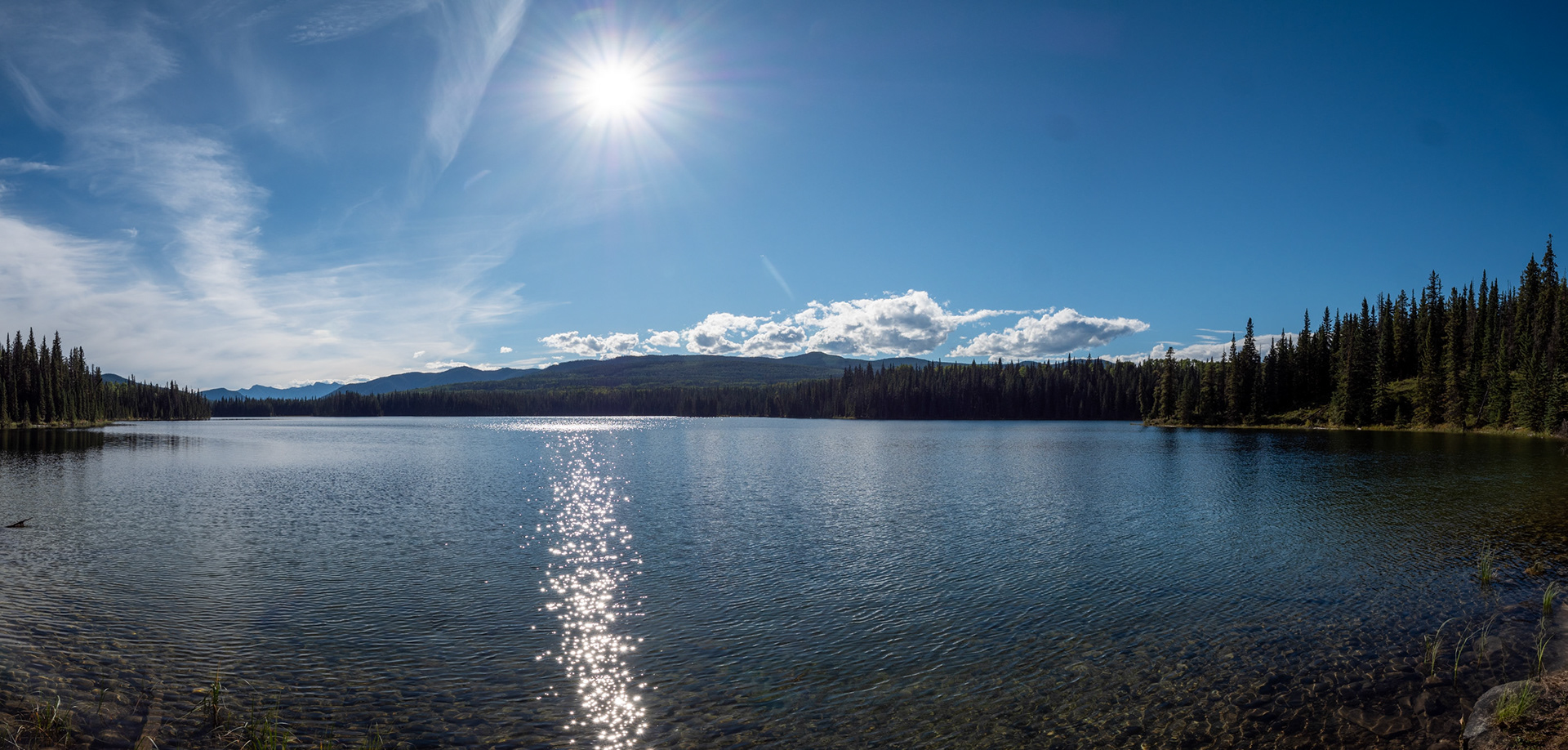 Jarvis Lake