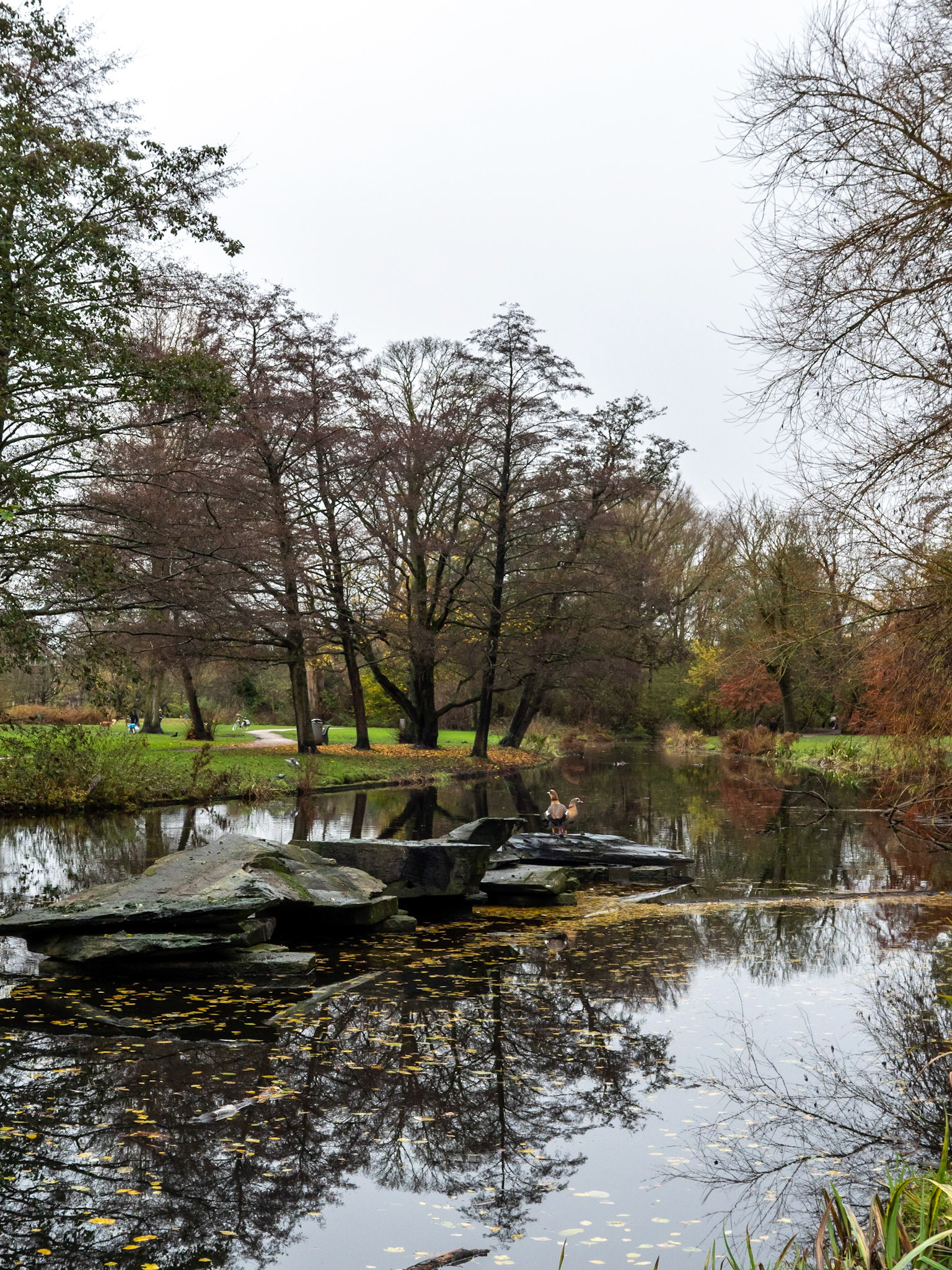P1068242 Vondelpark
