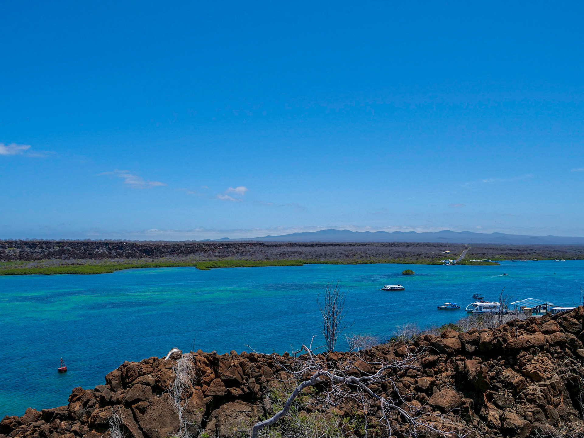 P1001192 Santa Cruz, Galapagos Islands
