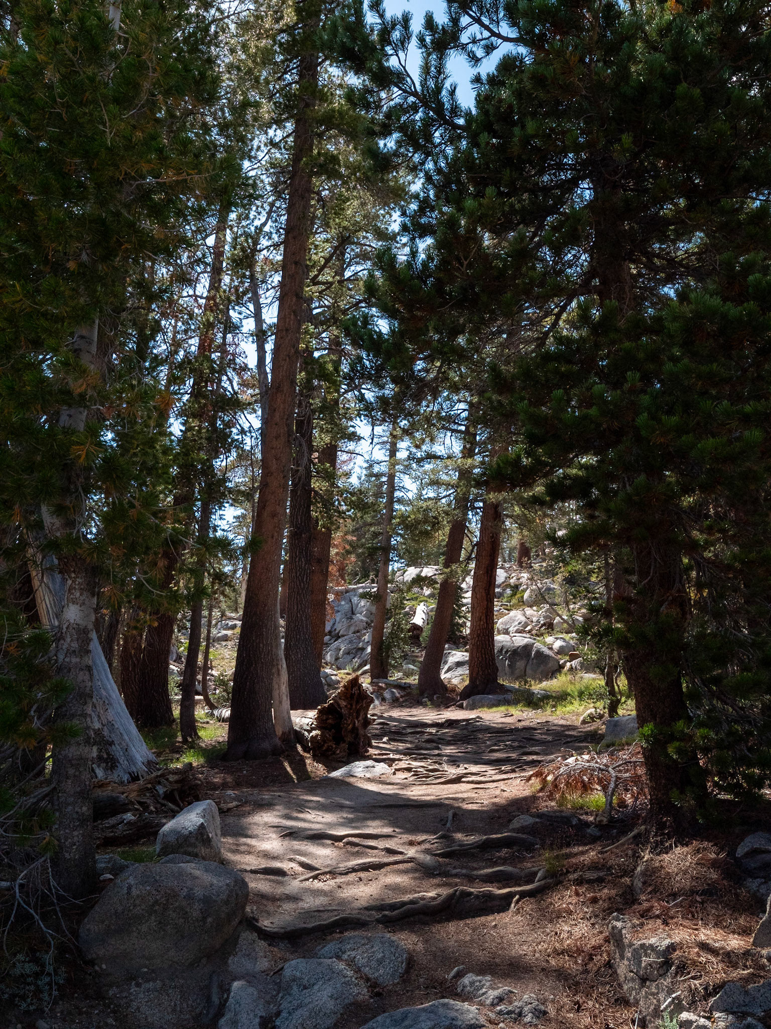 P1135261 Yosemite National Park