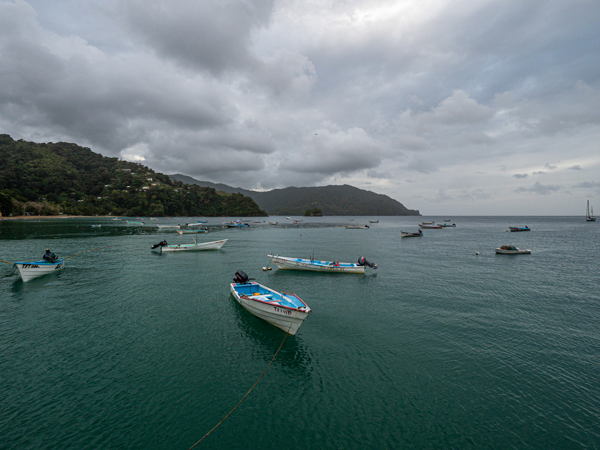 P1055175 Charlotteville