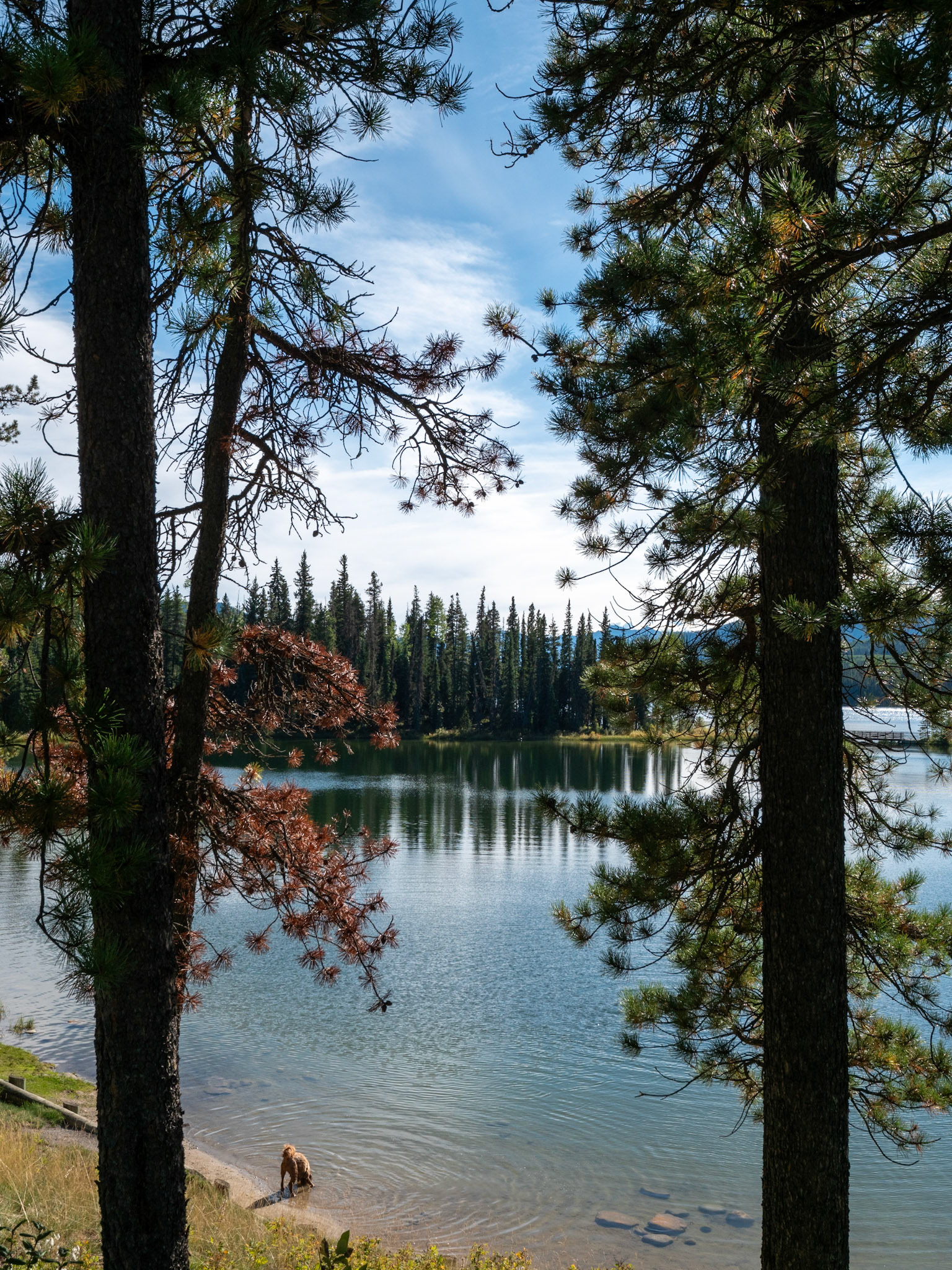 Jarvis Lake