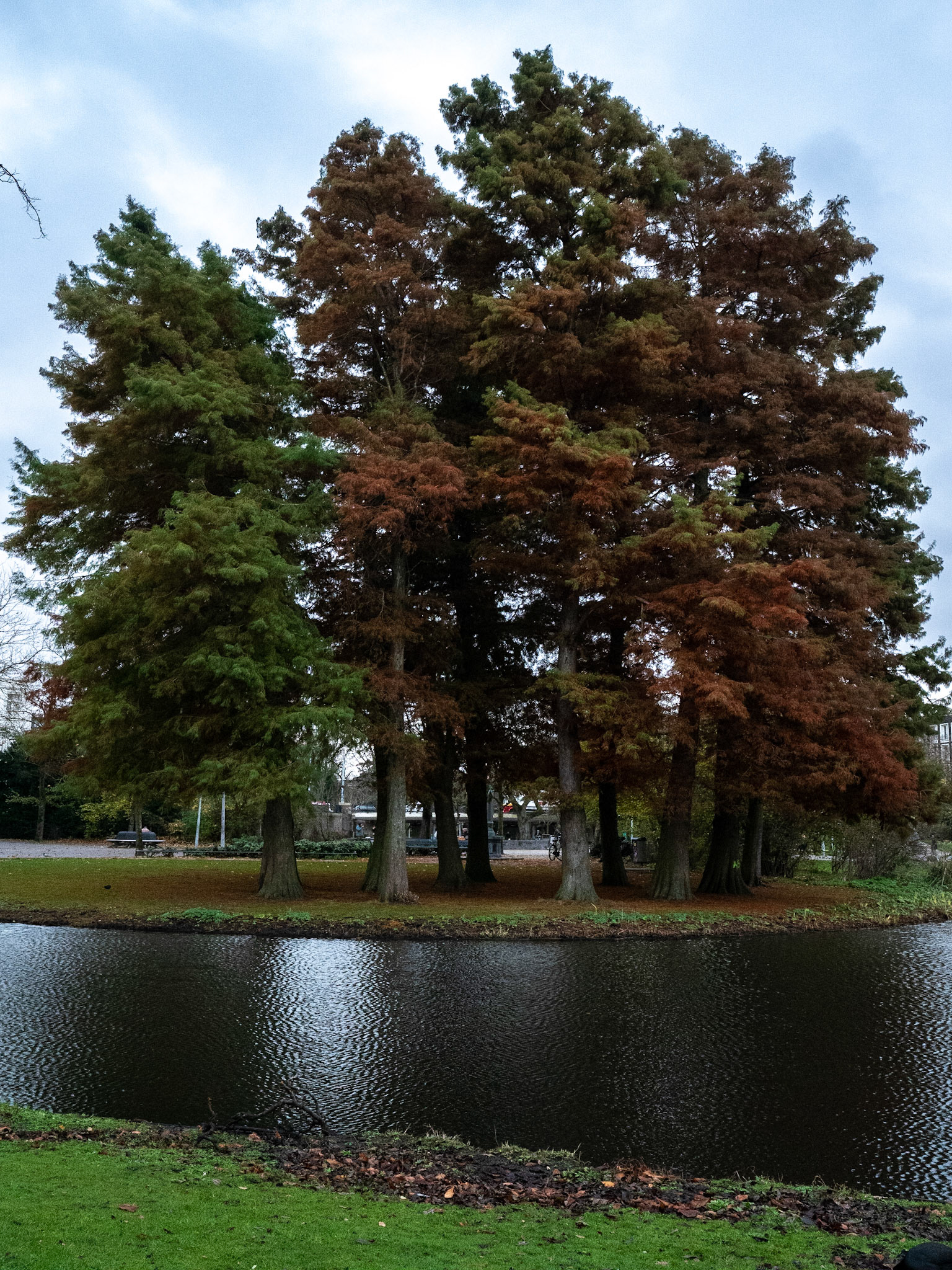P1068169 Vondelpark