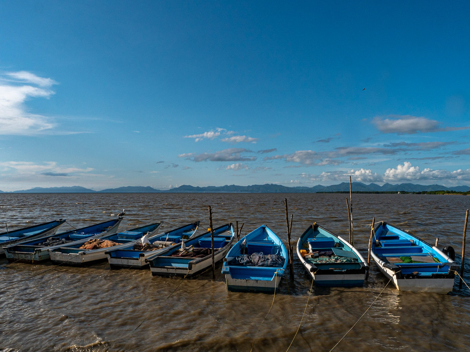 P1067282 Fishing boats