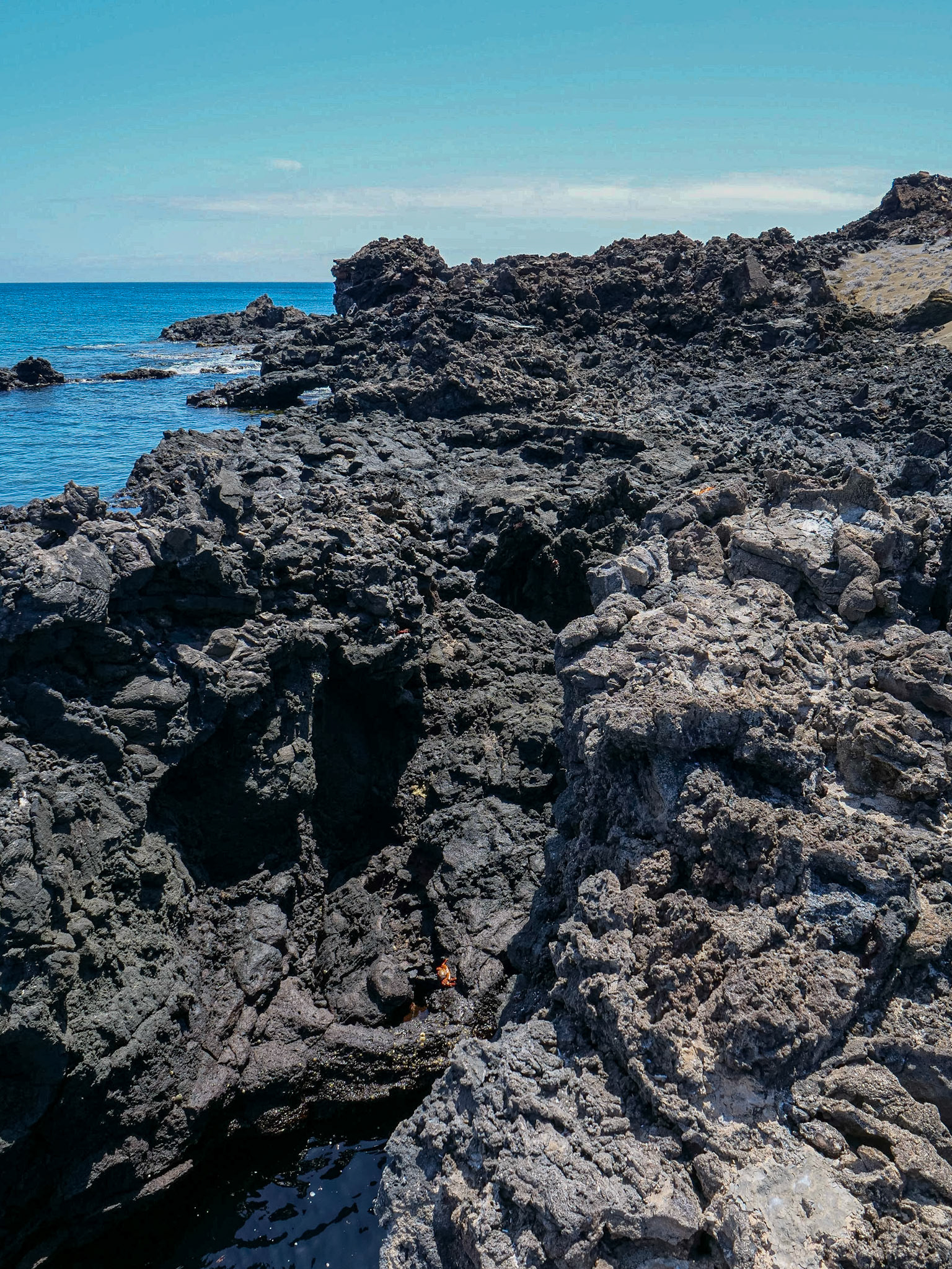 P1001549 Bartolomé Island Galapagos