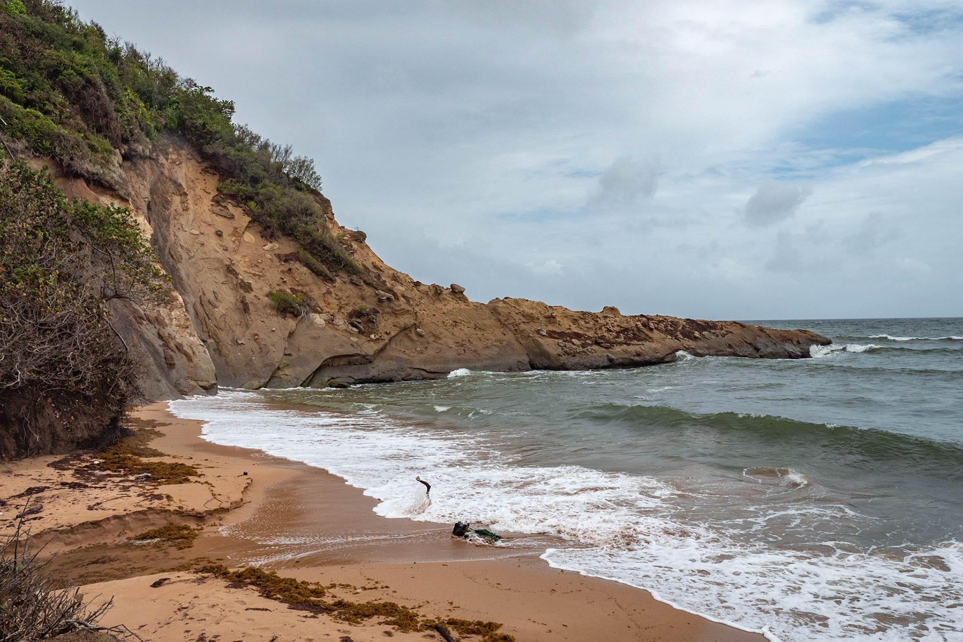 P1069636 Beachfront