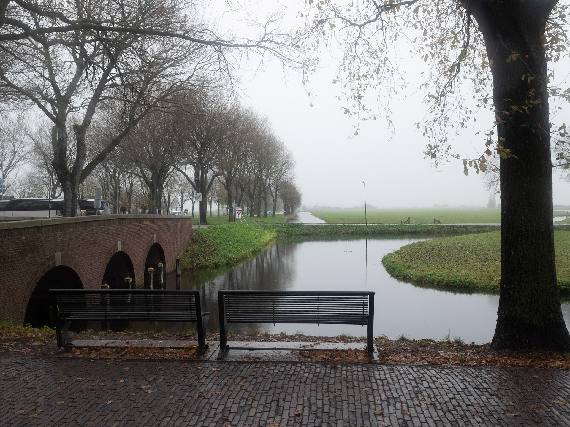 P1068459 Edam