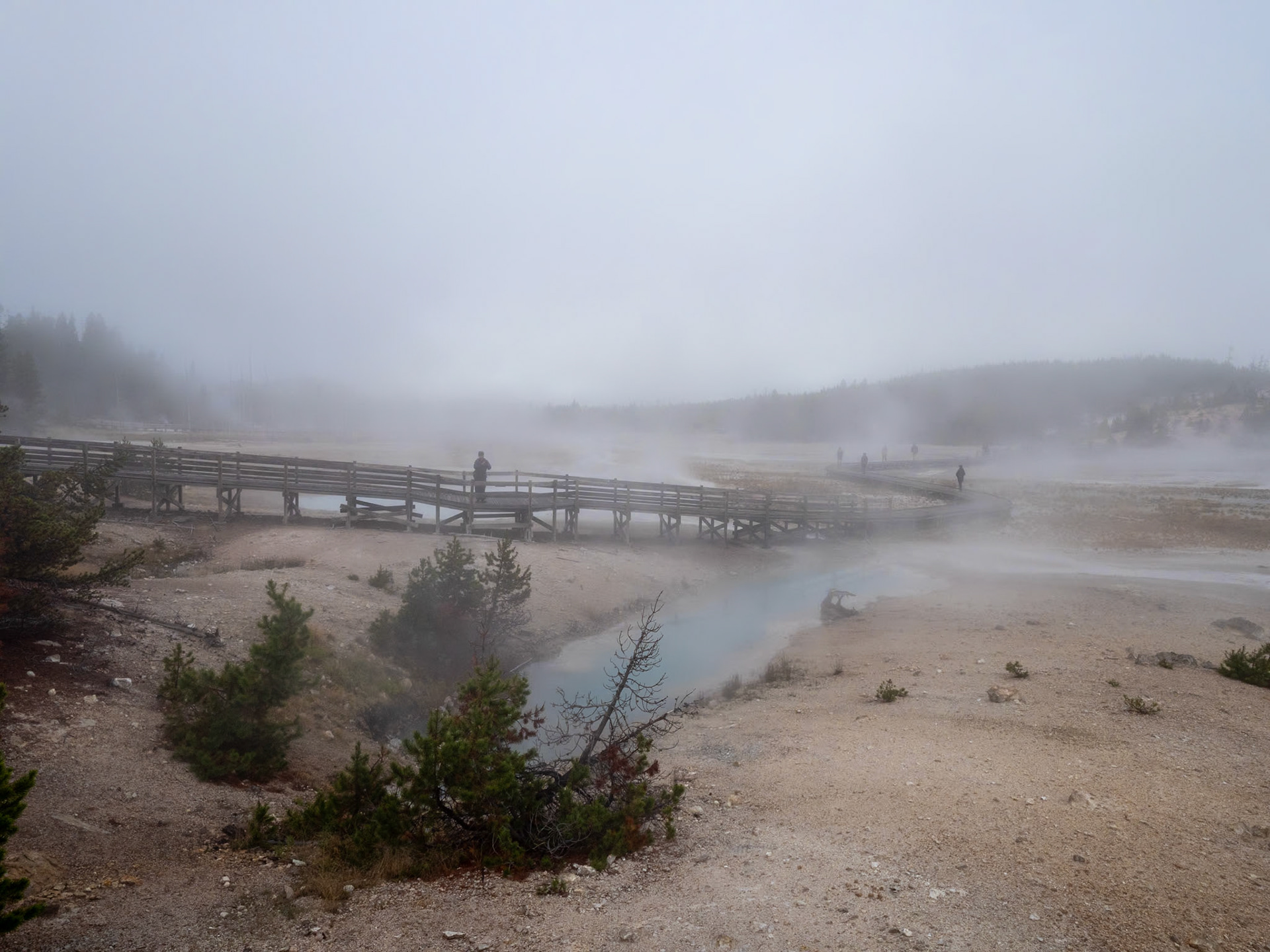 P1124456 Yellowstone National Park