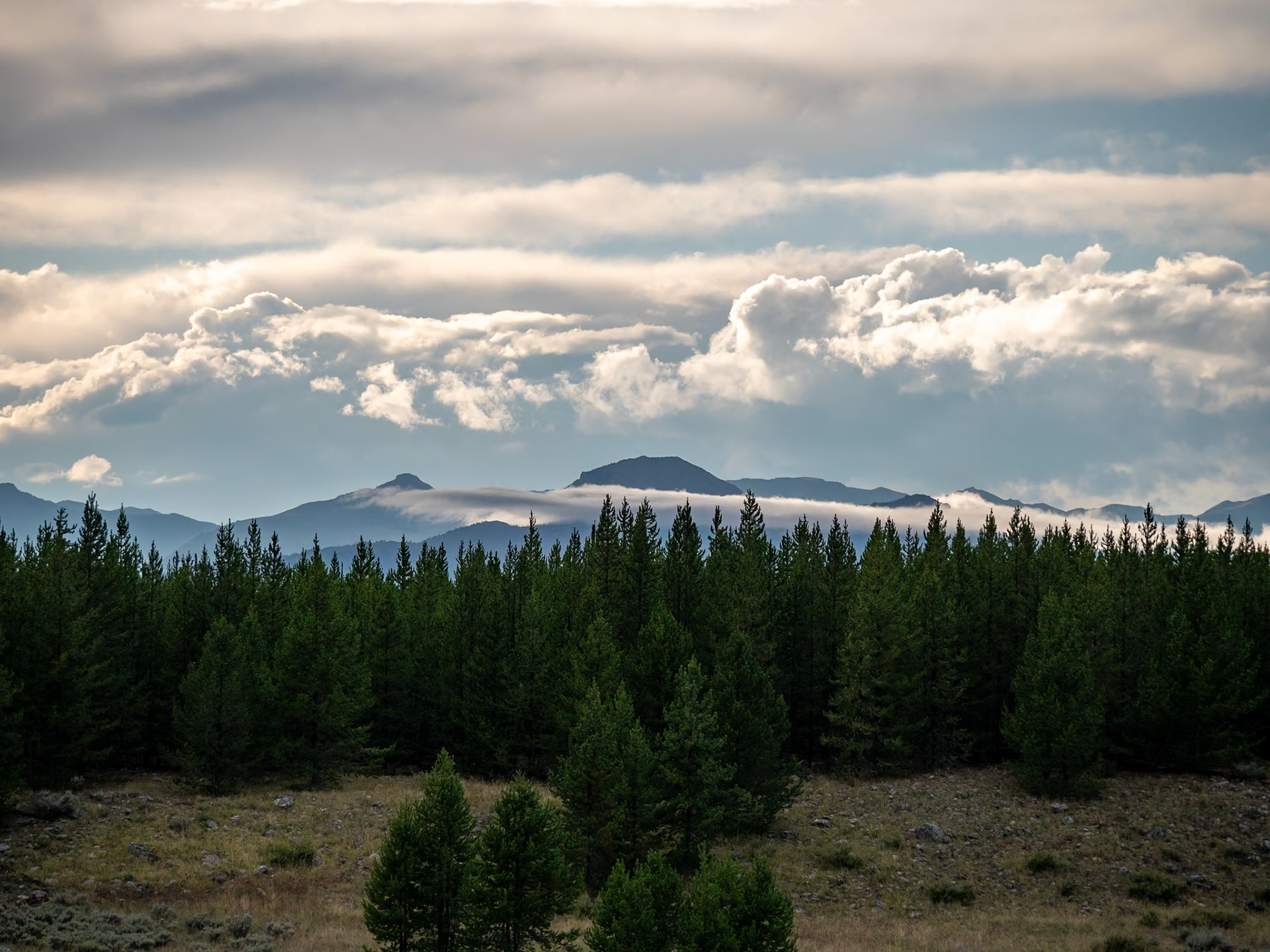 P1124361 Yellowstone National Park