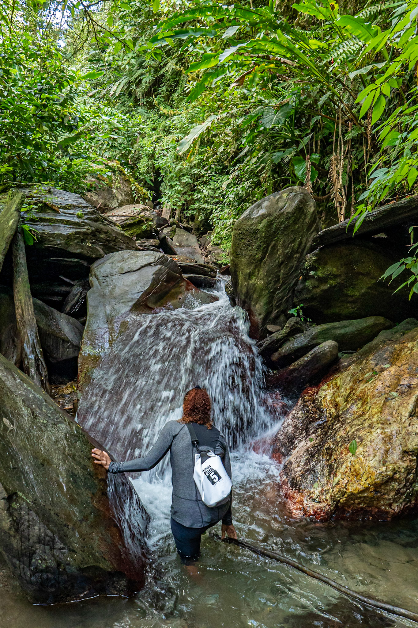 P1068961 Navigating the flow and rocks