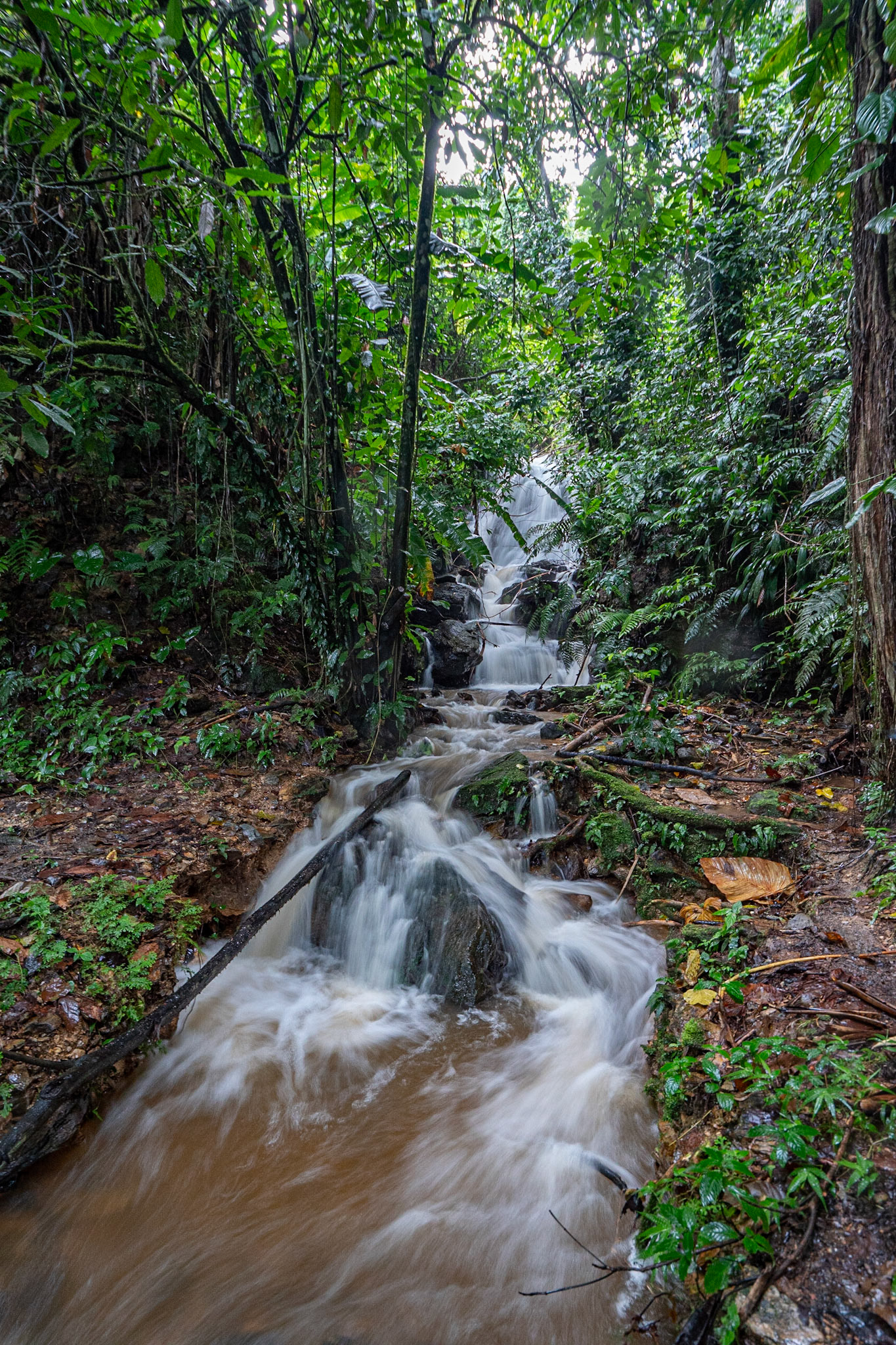 P1072634 Heavy rainfall led to full flow of water of all the tributaries along the trail back