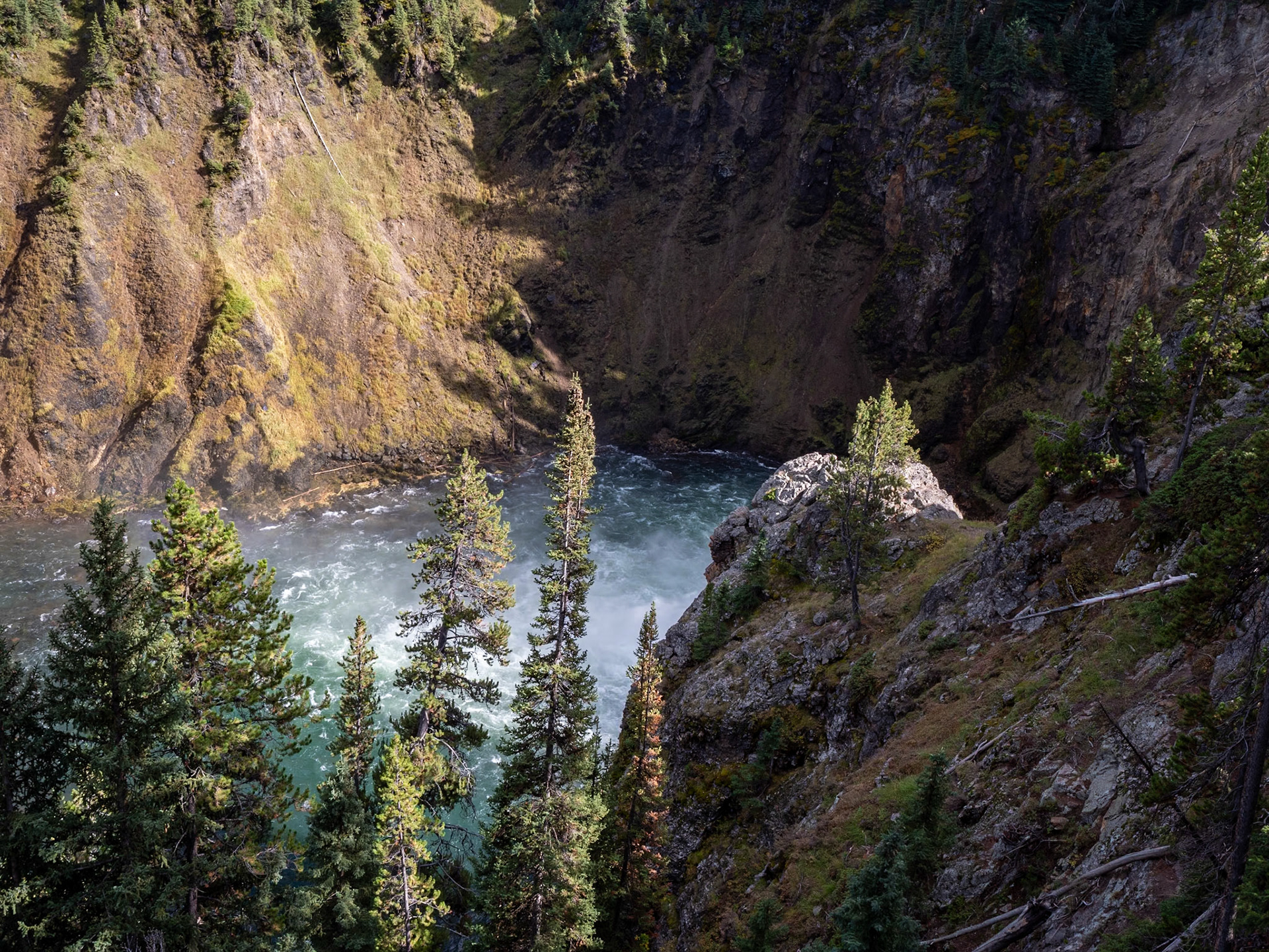 P1134638 Yellowstone National Park
